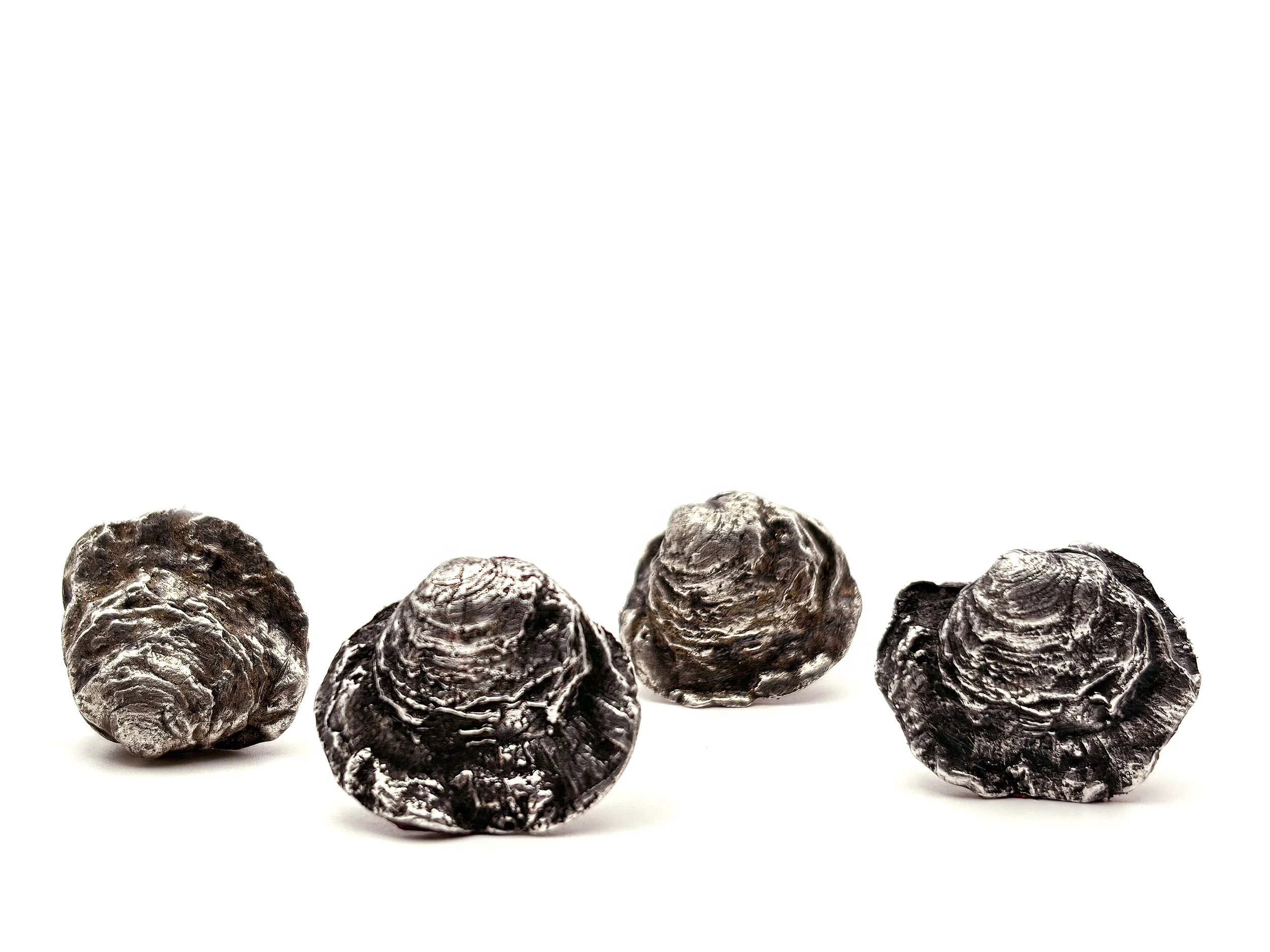 brachiopod-stud-earrings-two-sterling-silver-birdley-studio.jpg