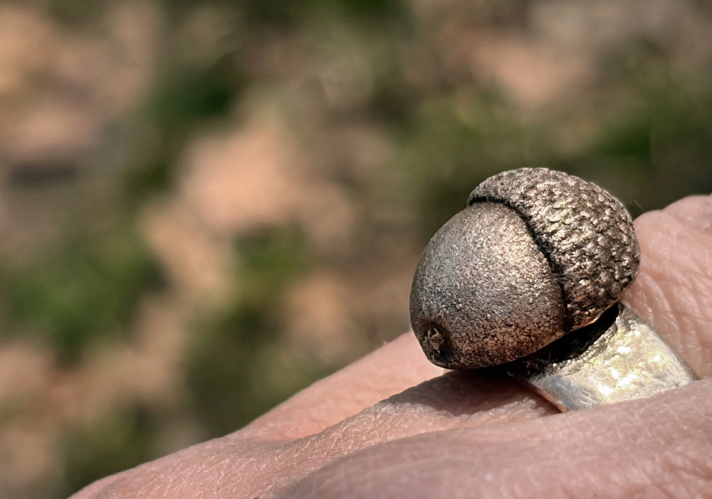 acorn-ring-bronze-worn-birdley-studio.jpg