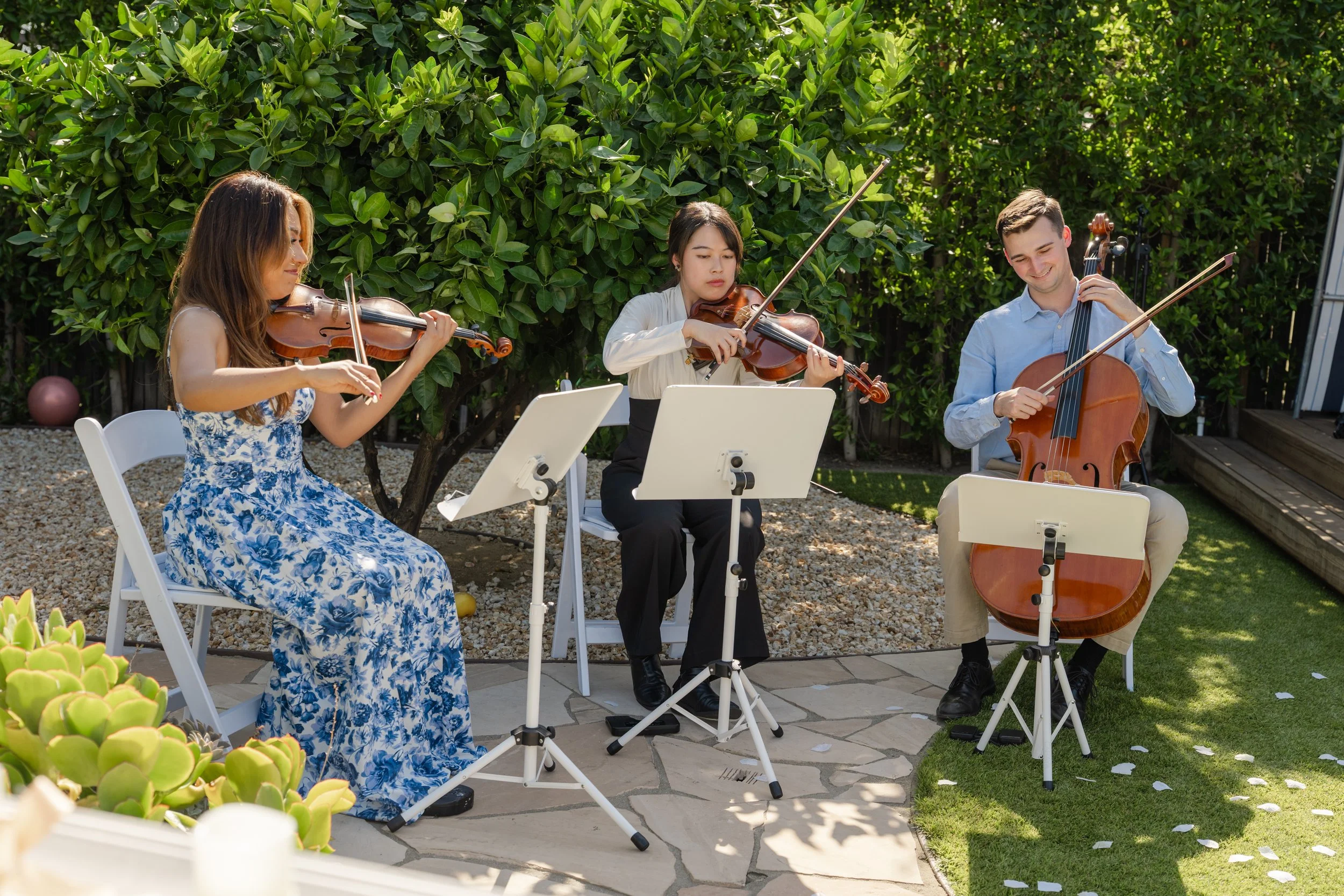 Wedding String Trio