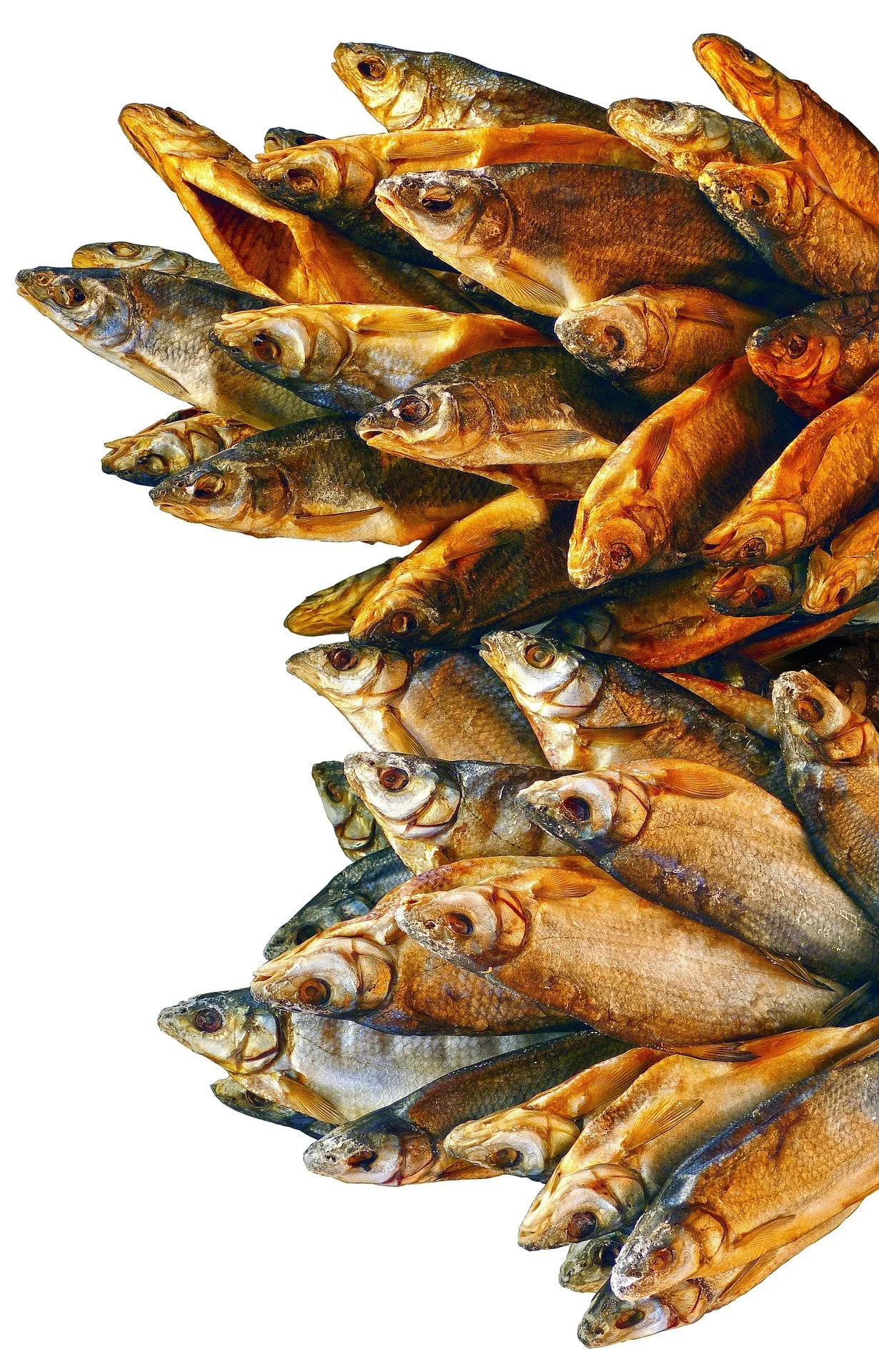 Stockfisch.jpg