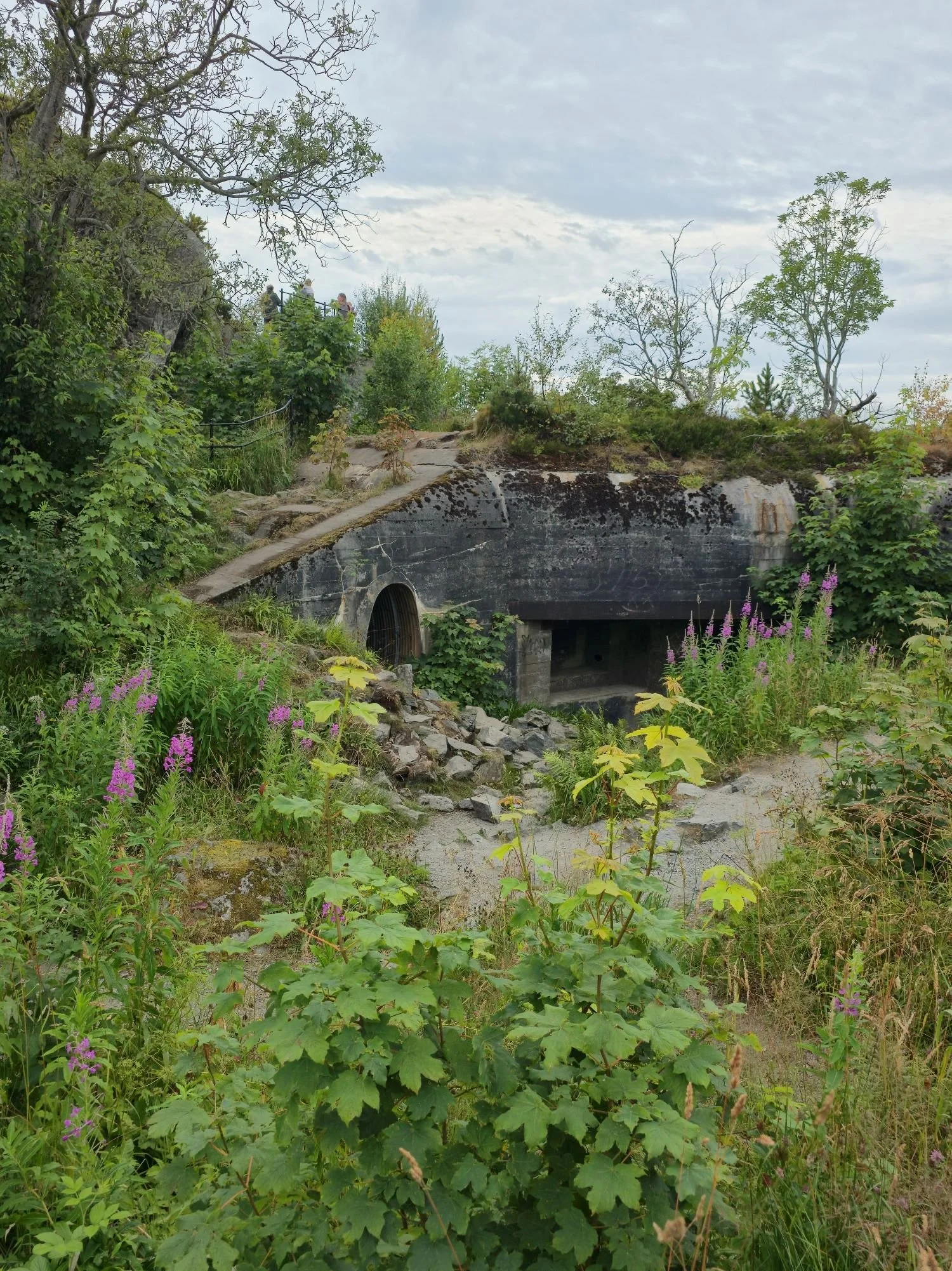 Bunkeranlage auf dem Aksla am Aussichtspunkt Ålesund III.jpg