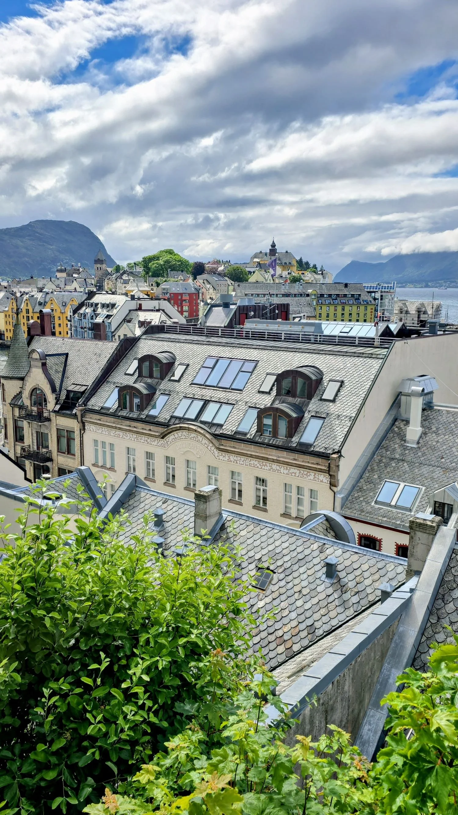 Citycenter Ålesund vom Stadtaussichtspunkt.jpg