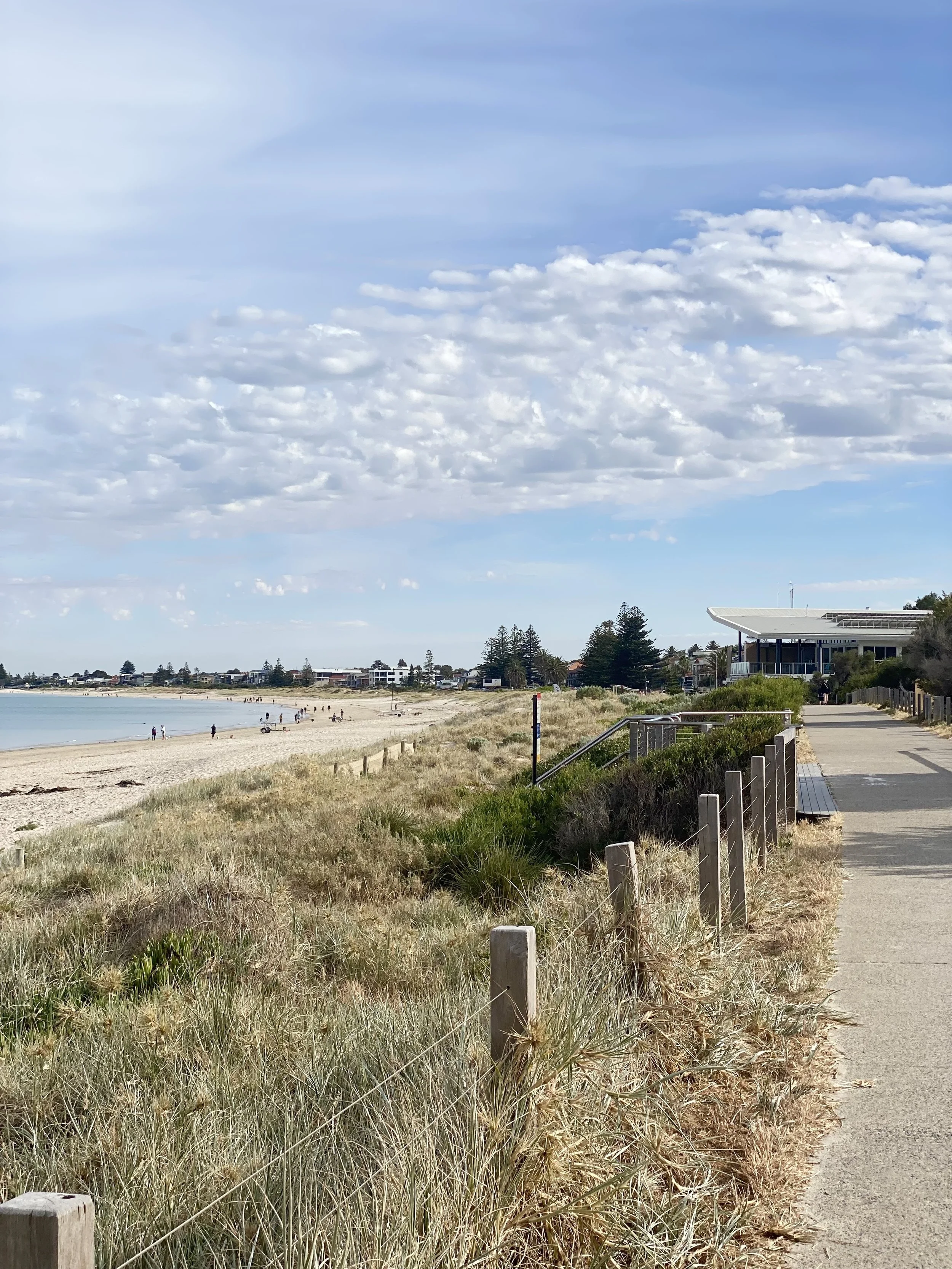 seacliff.jpg