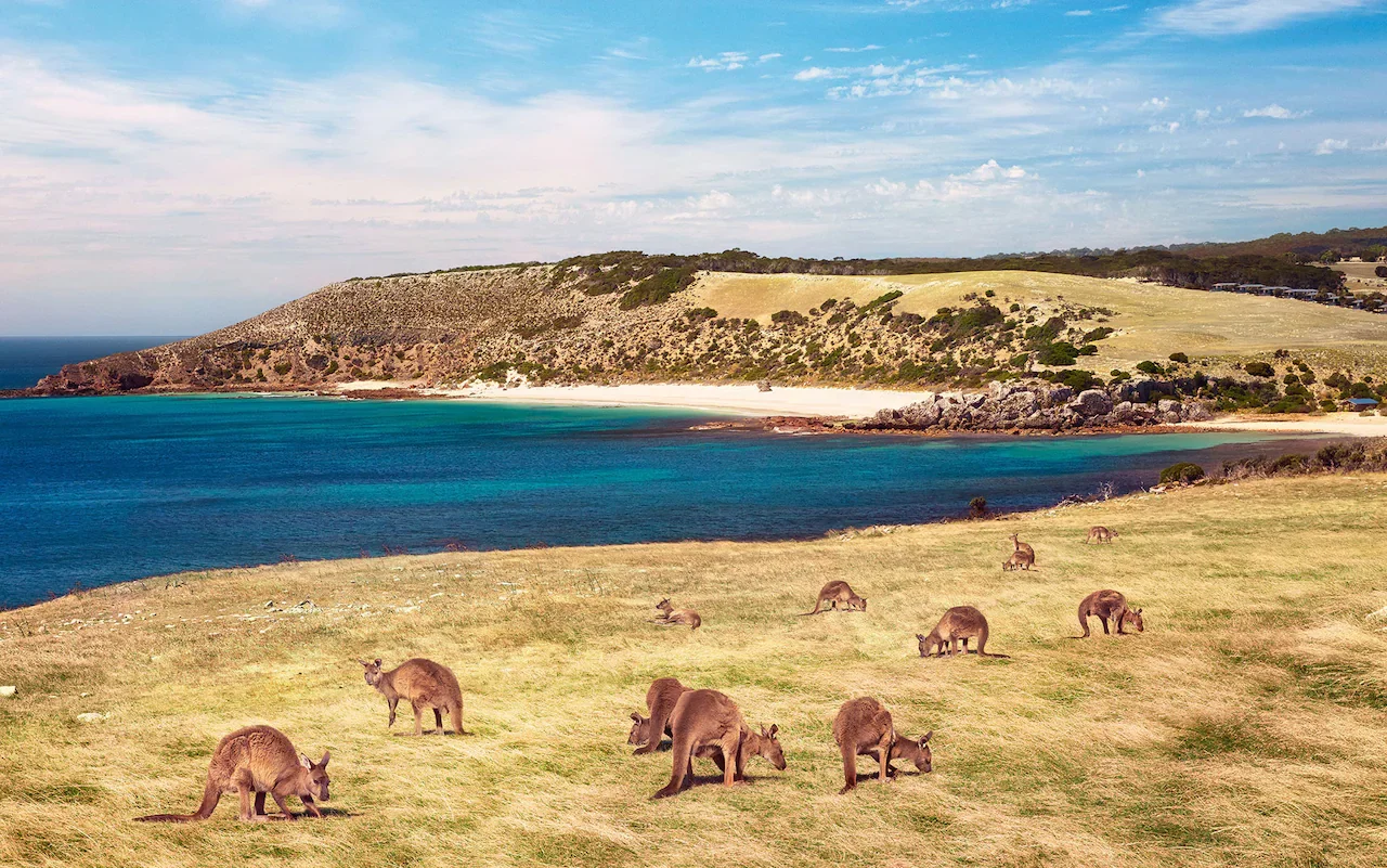 stokes-bay-kangaroo-island-credit-south-australian-tourism-commission.webp