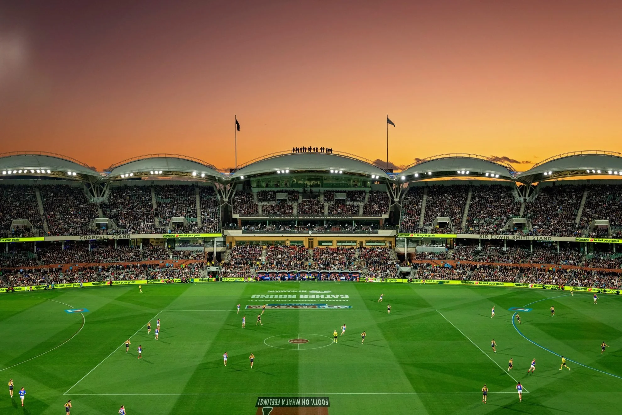 adelaide oval.jpg