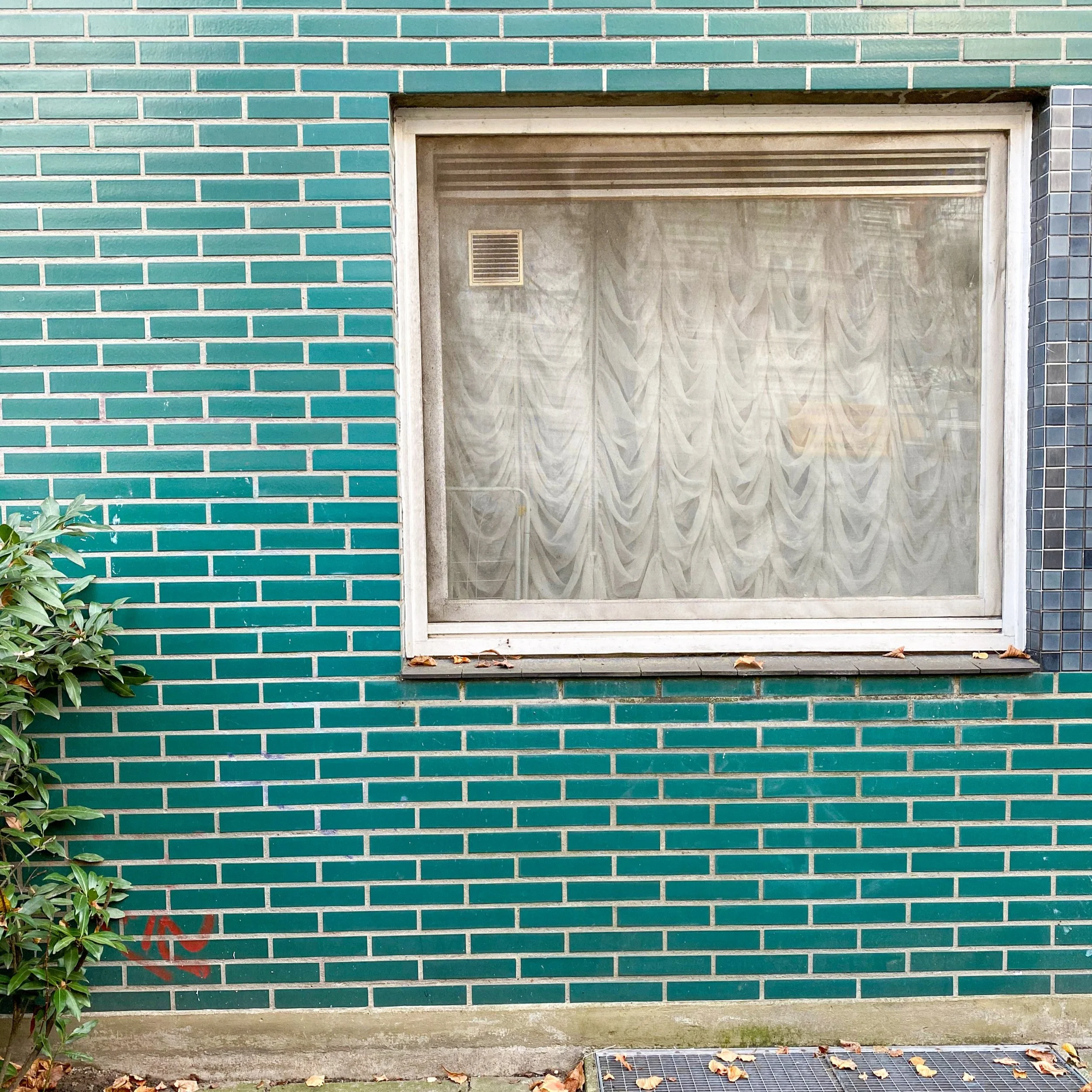 IMG_0341.jpg