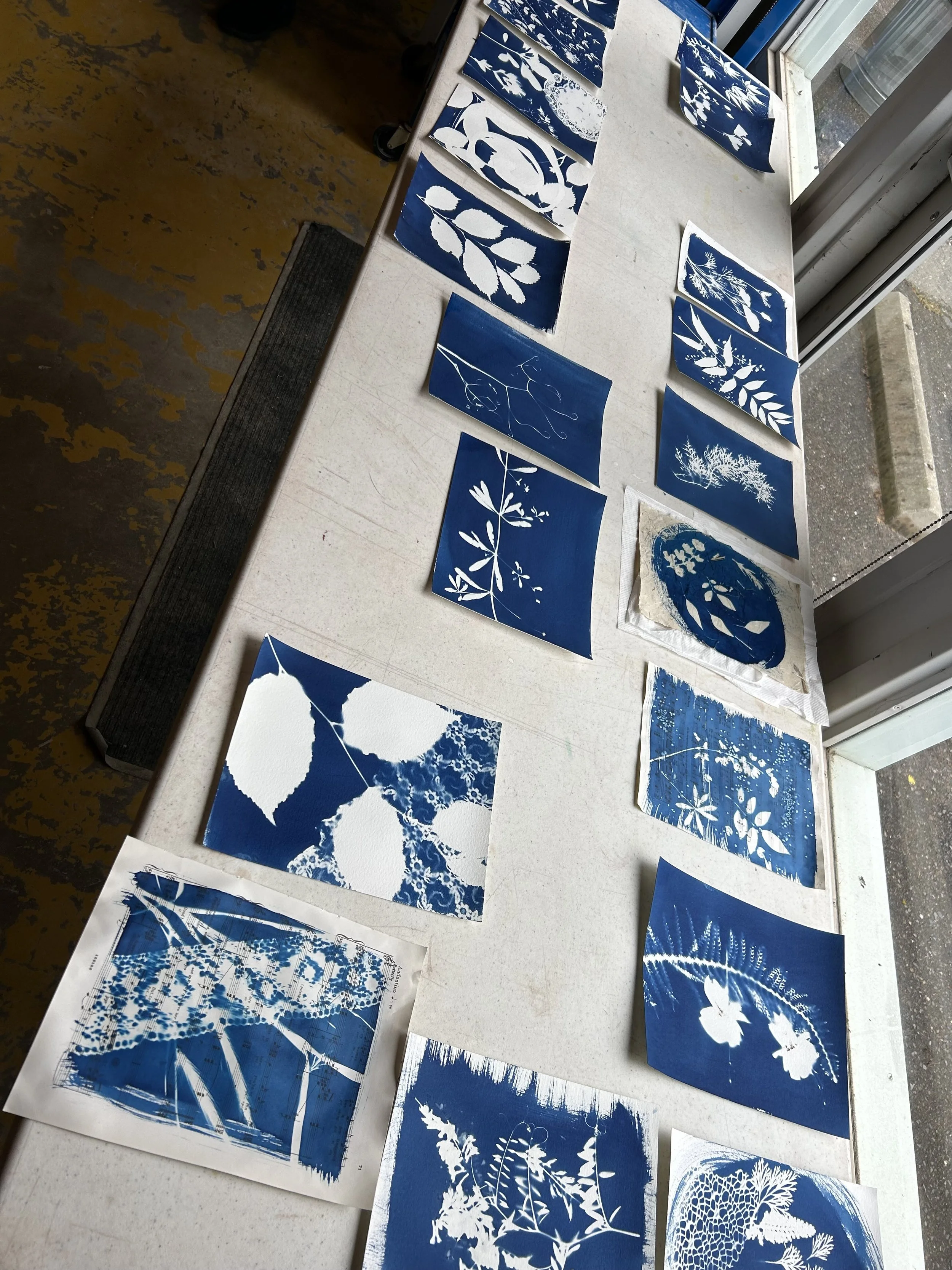 Cyanotypes
