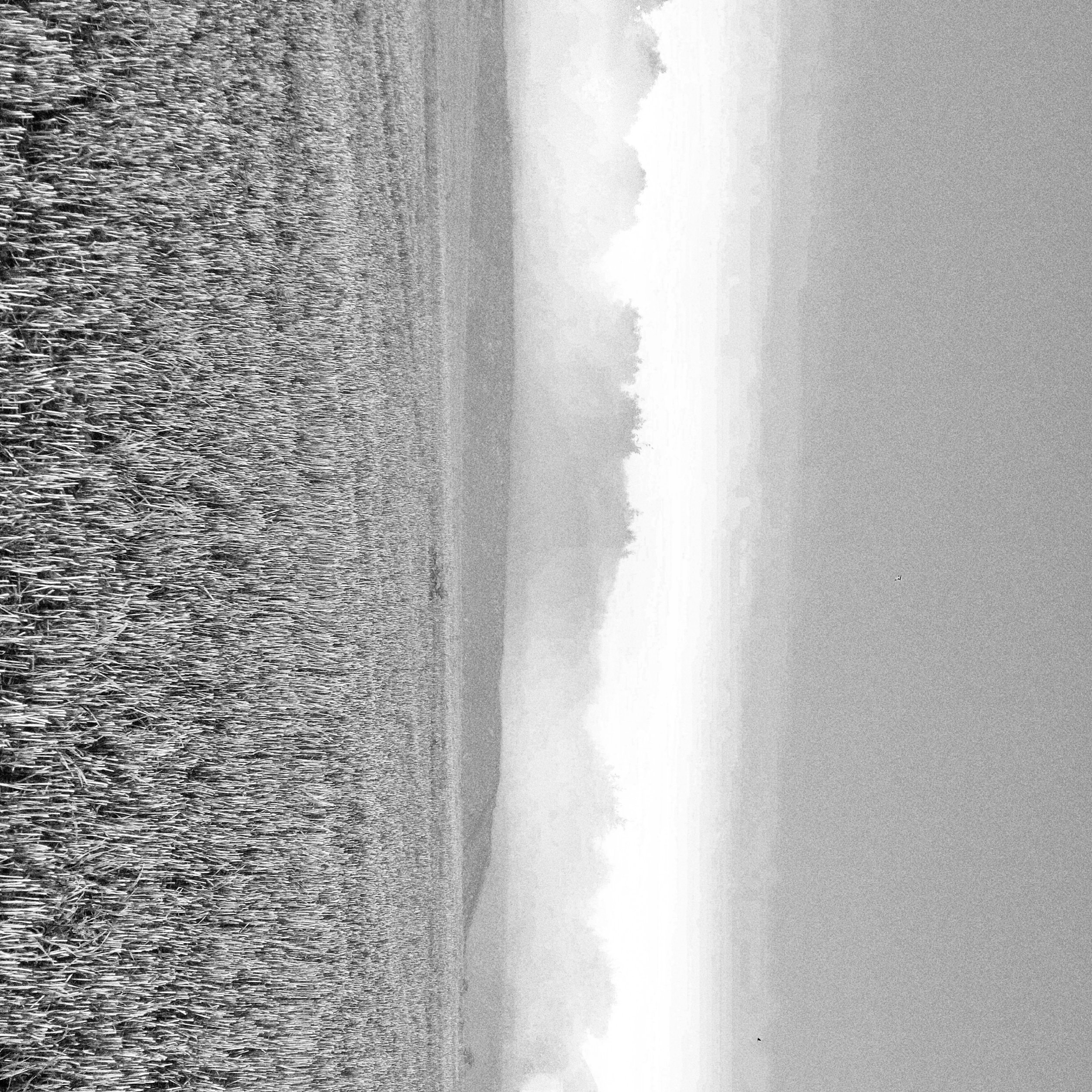 20230904_070843.jpeg