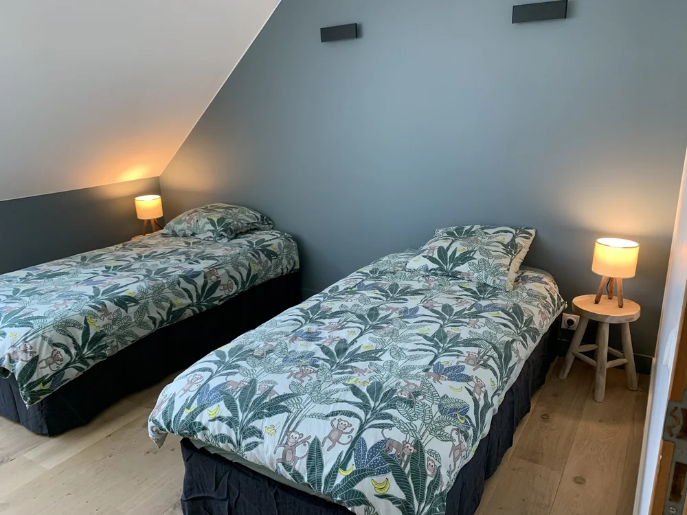 Chambre avec deux lits simples et murs bleu-gris