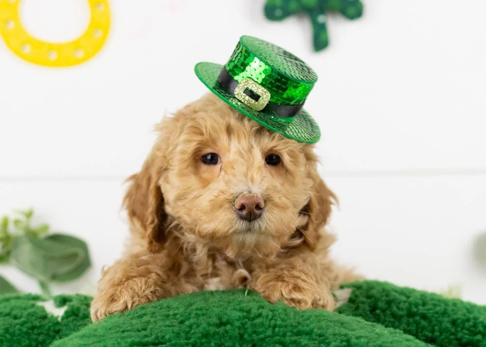 Doug 12-22-25 Ohio 6. 15oz-4.jpg