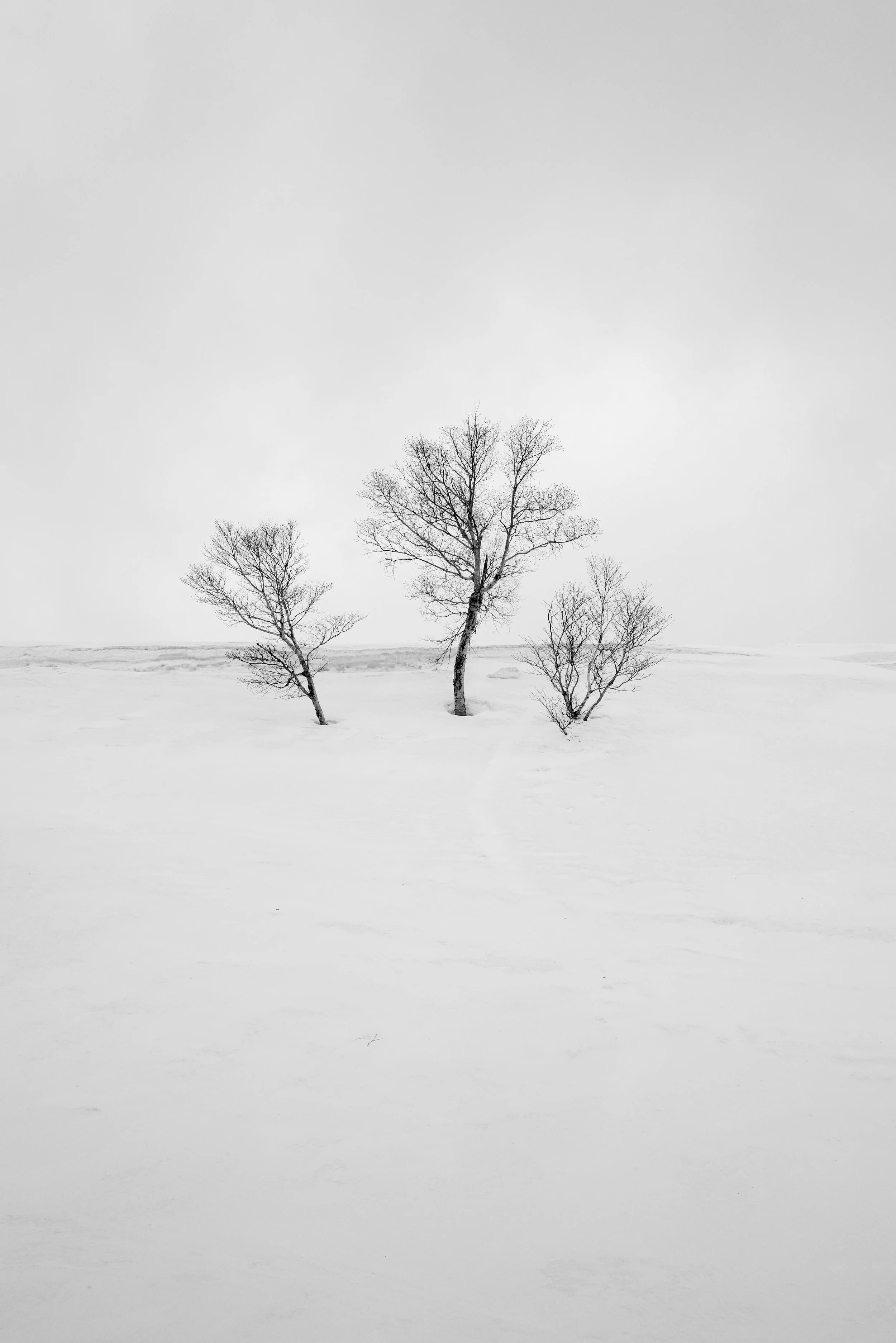 L1001461.jpg