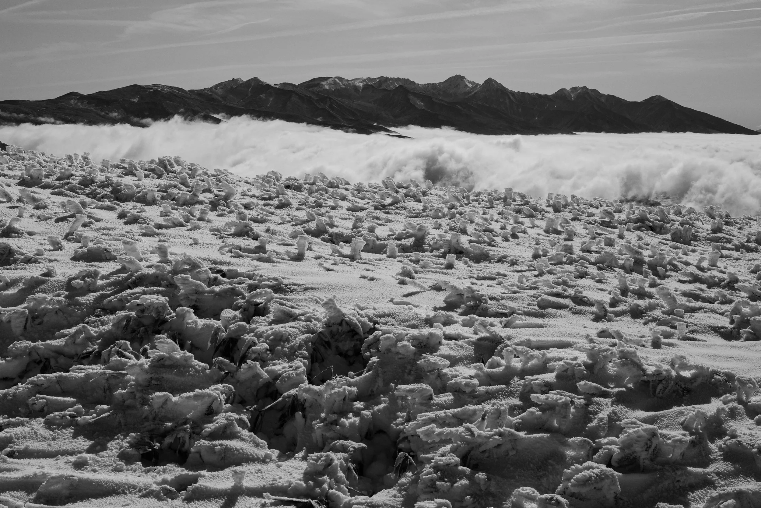 L1001264.jpg