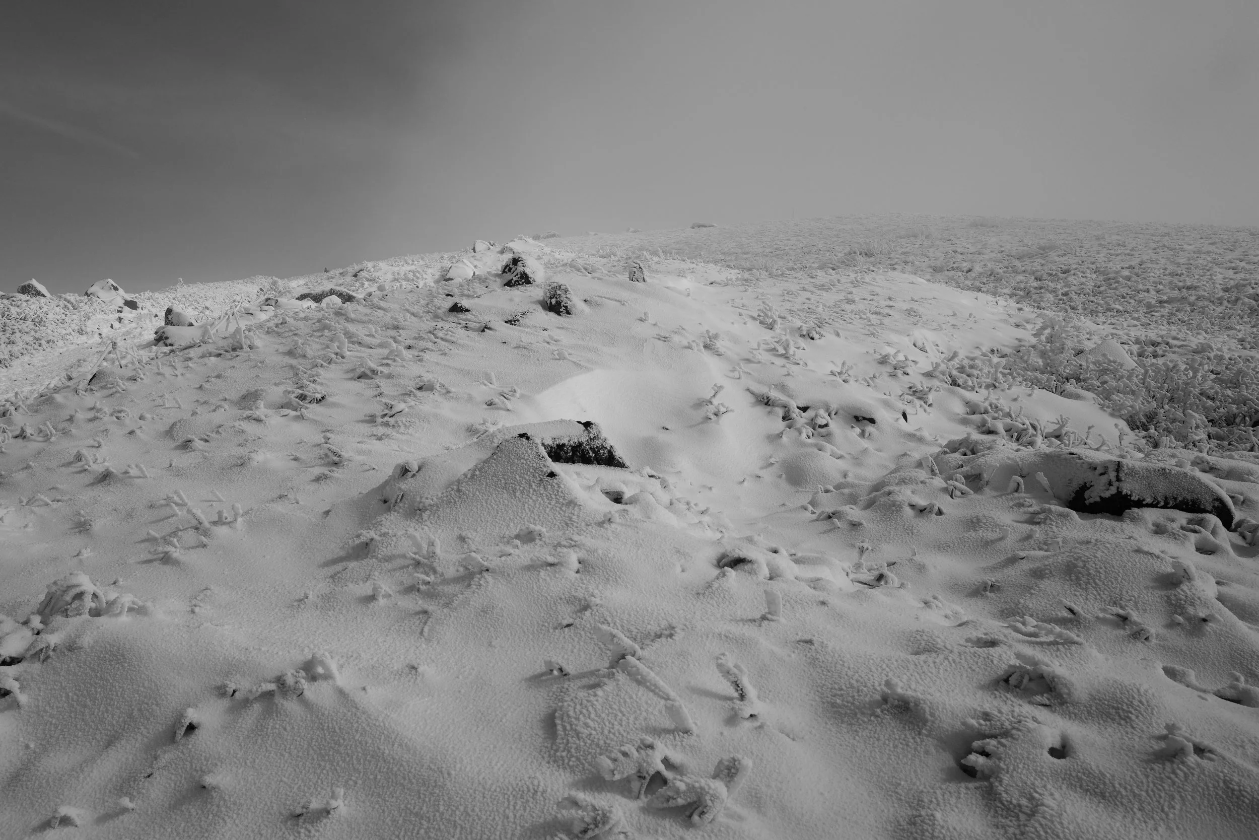 L1001316.jpg