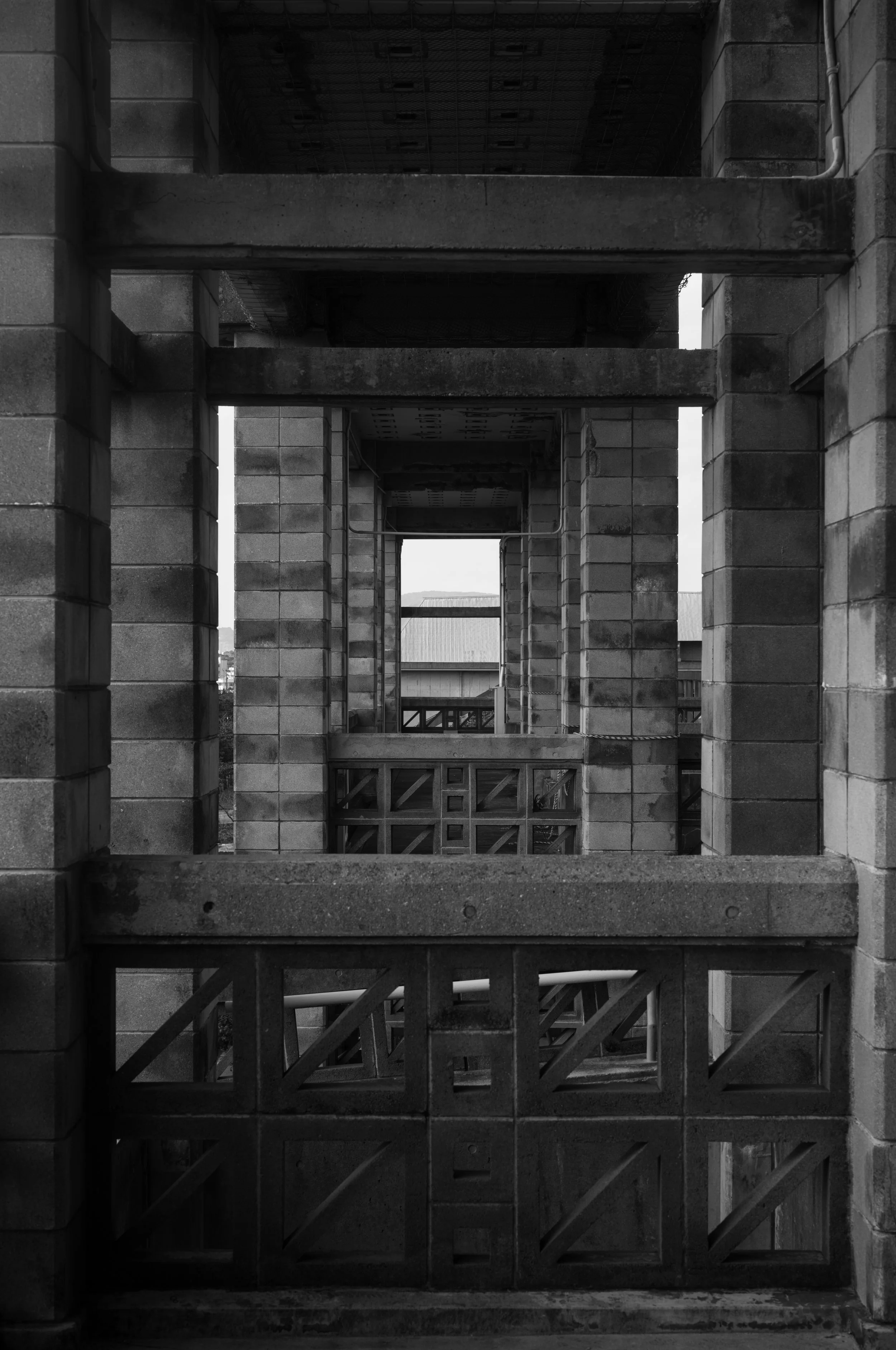 L1002816.jpg