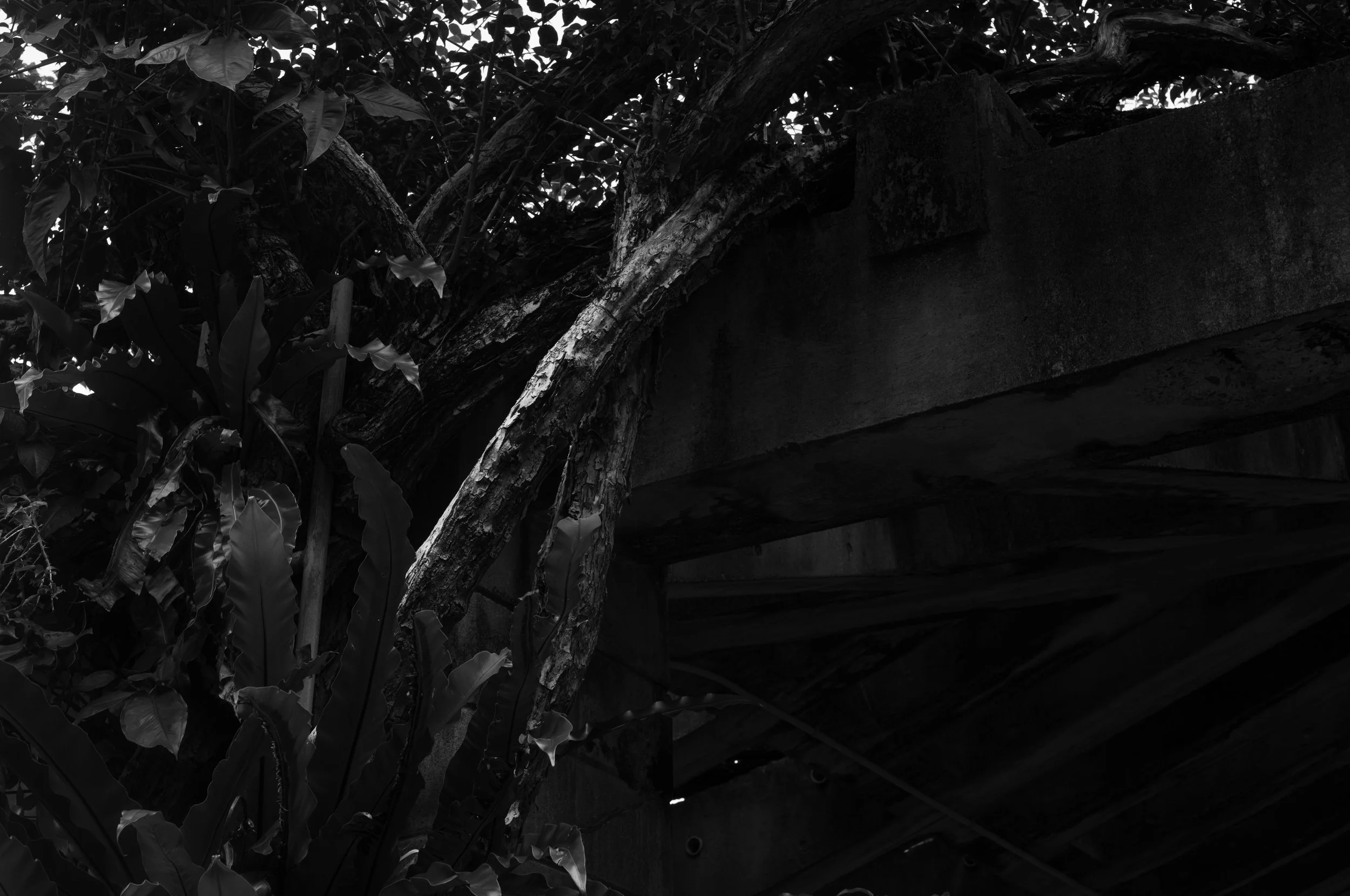 L1002839.jpg