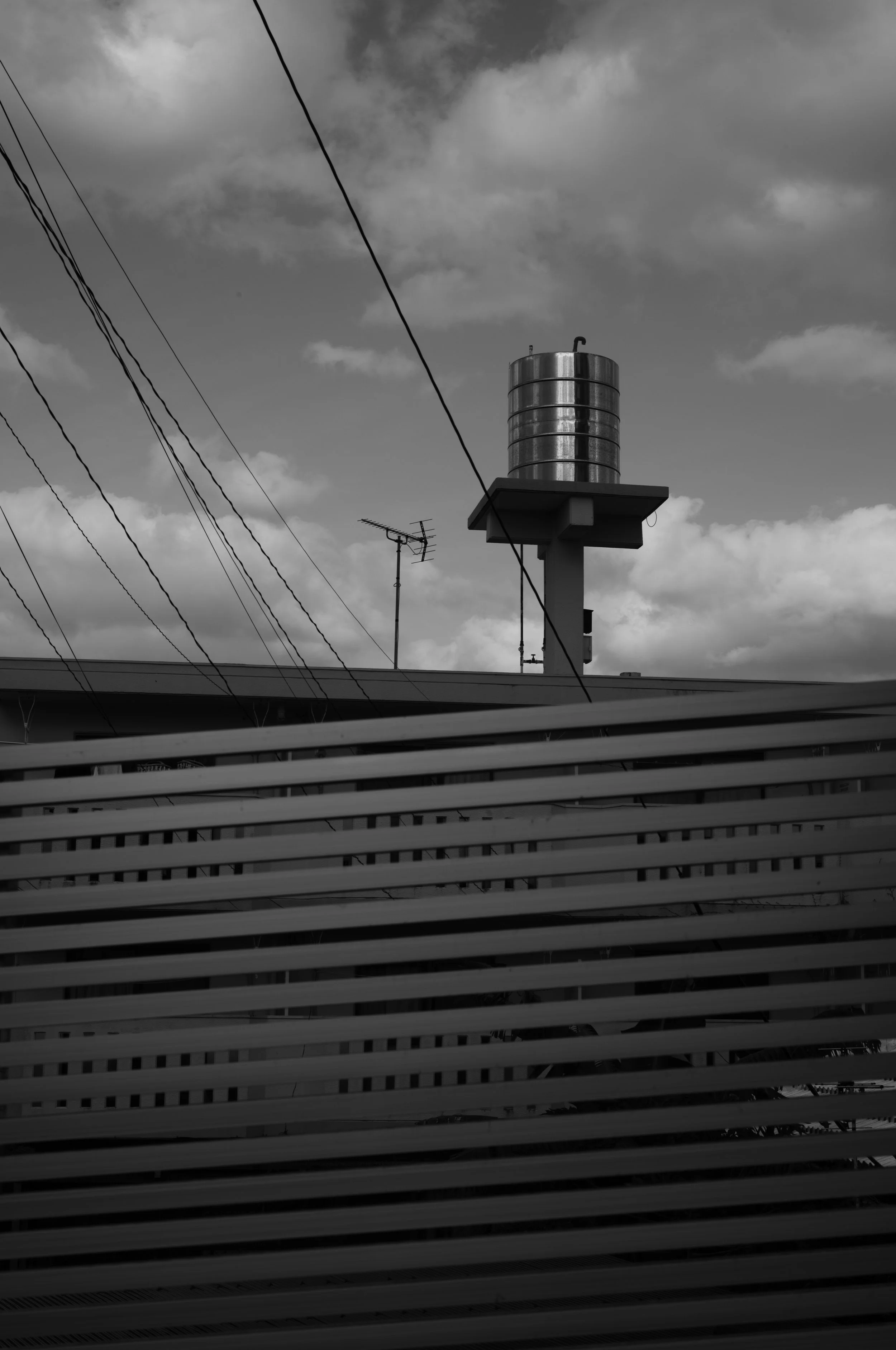 L1002979-3.jpg