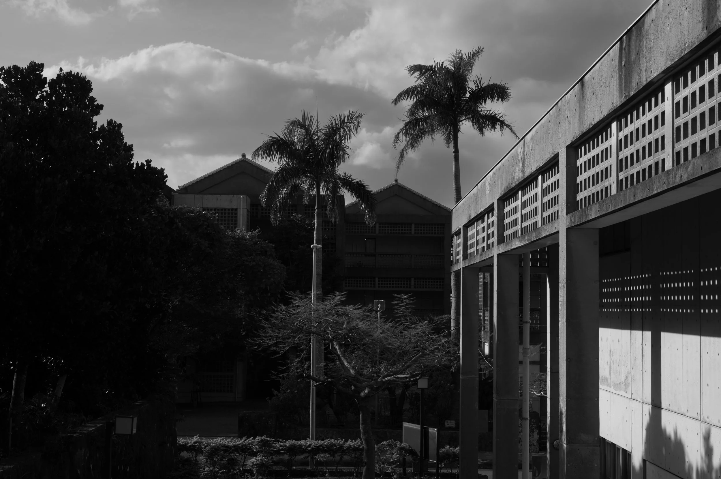 L1003003.jpg