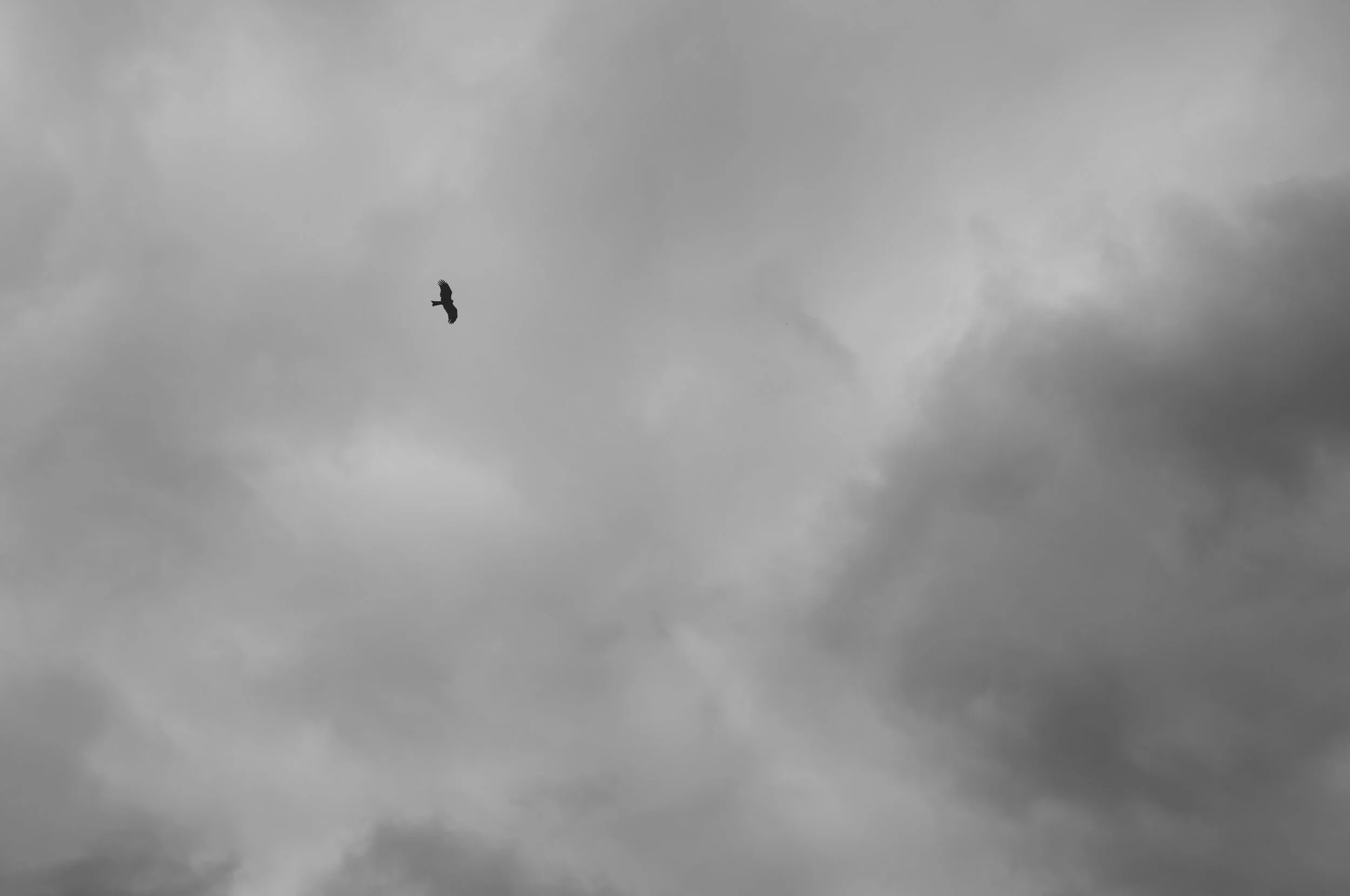 L1001622-3.jpg