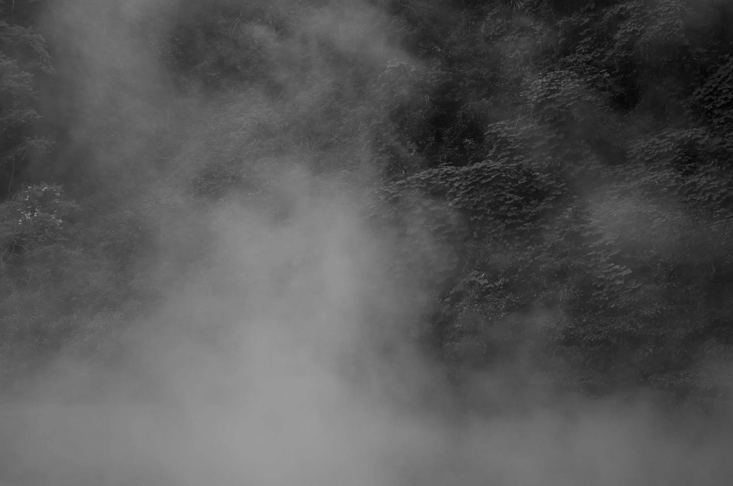 L1001669-2.jpg