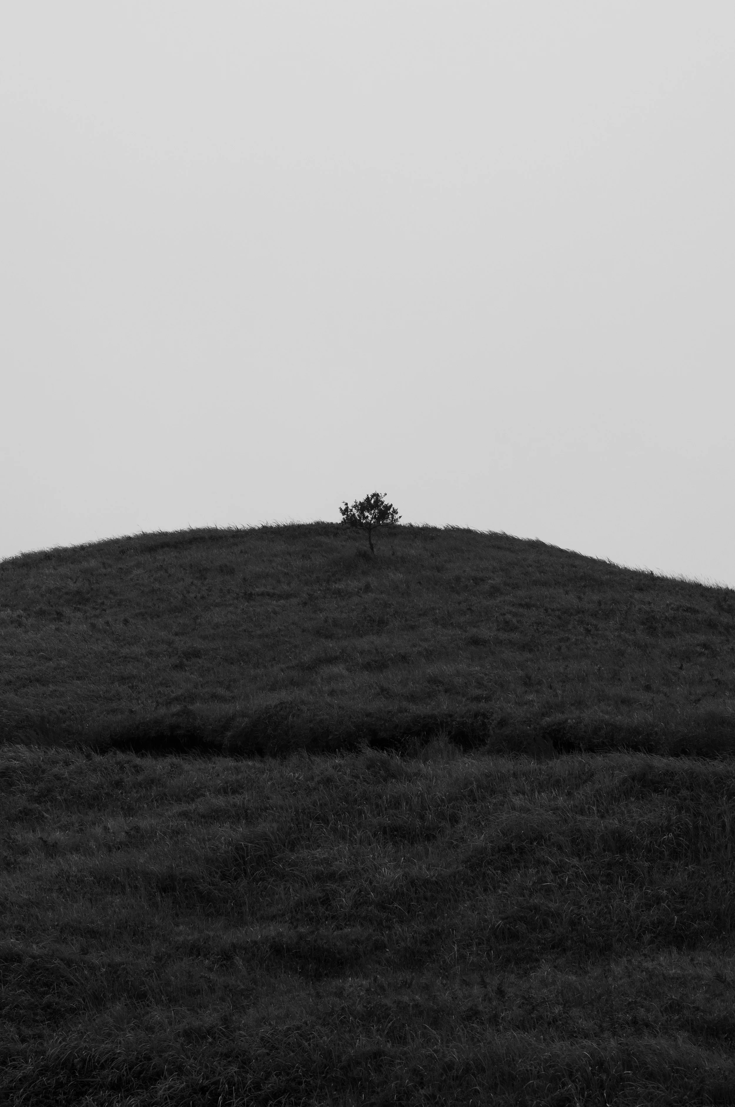 L1001796-2.jpg