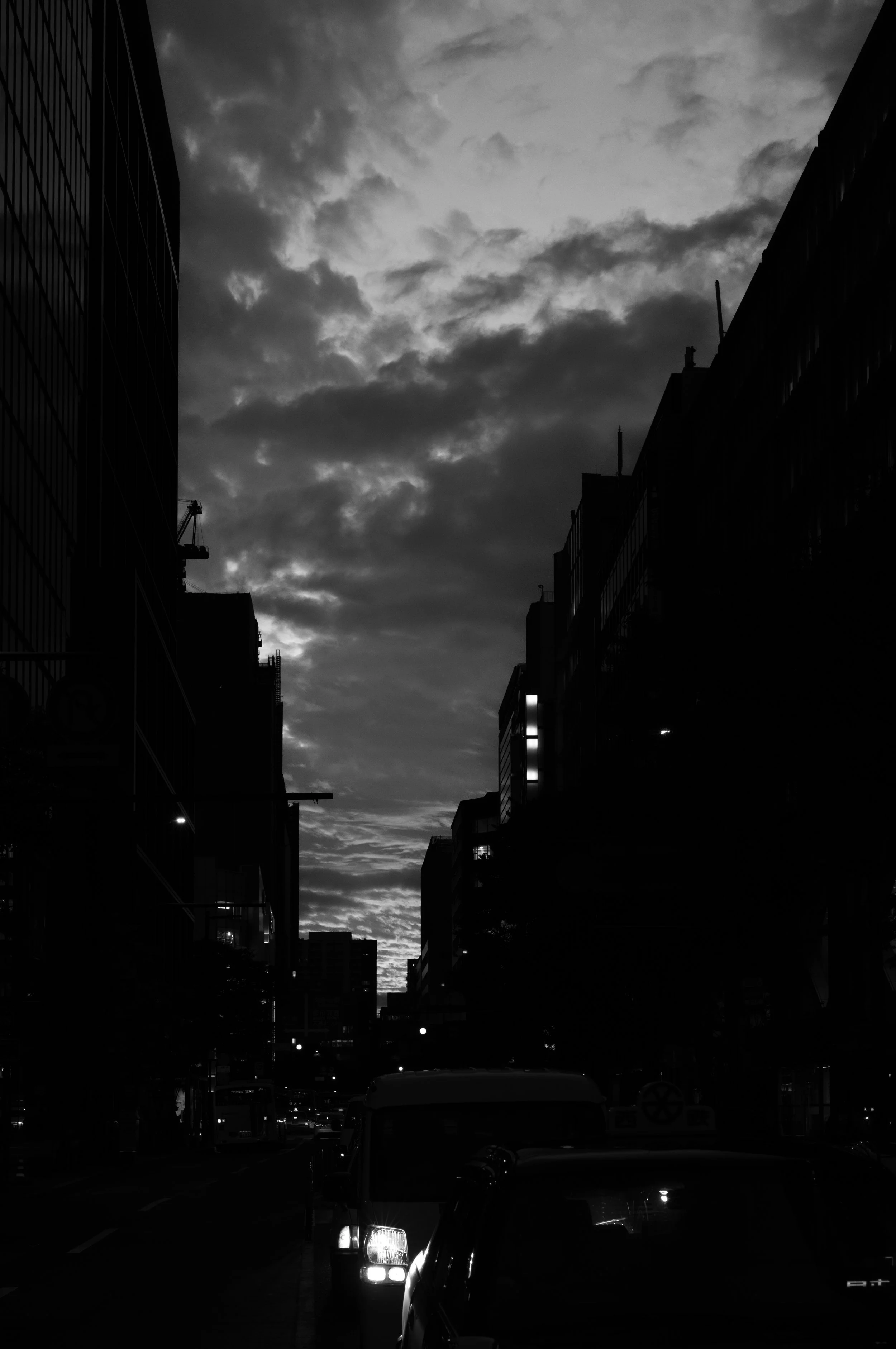 L1001887-2.jpg