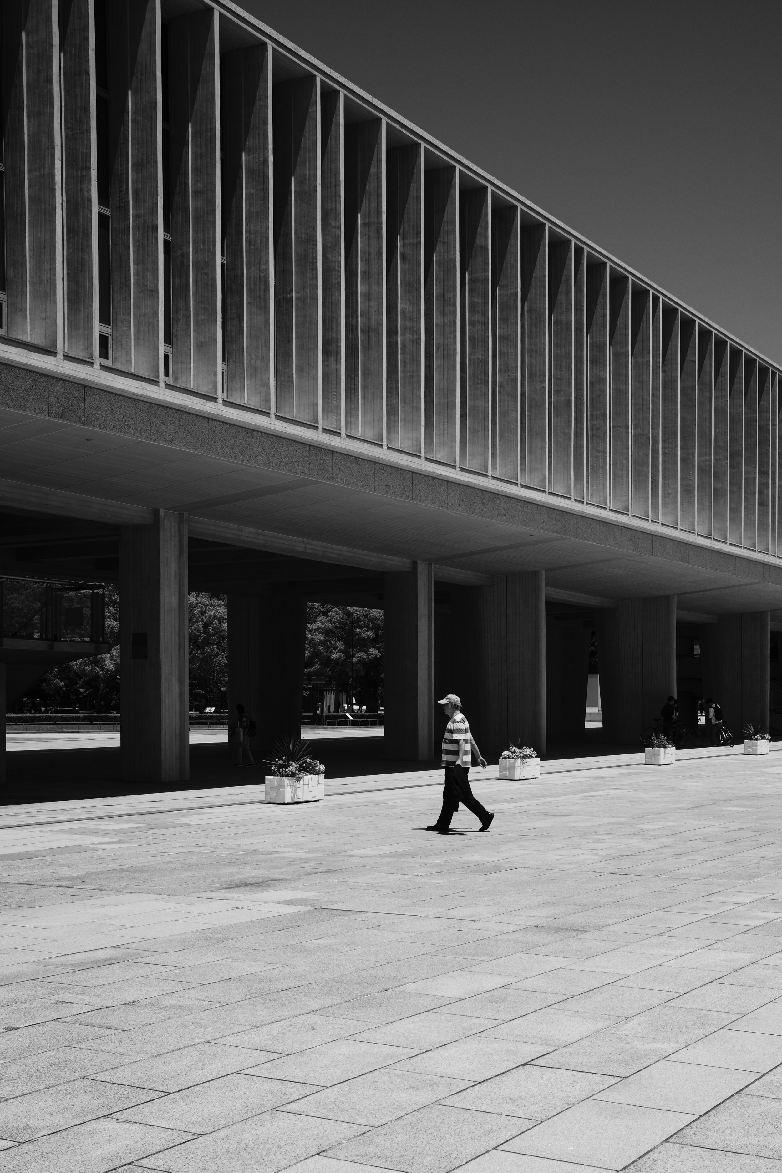 L1002534.jpg