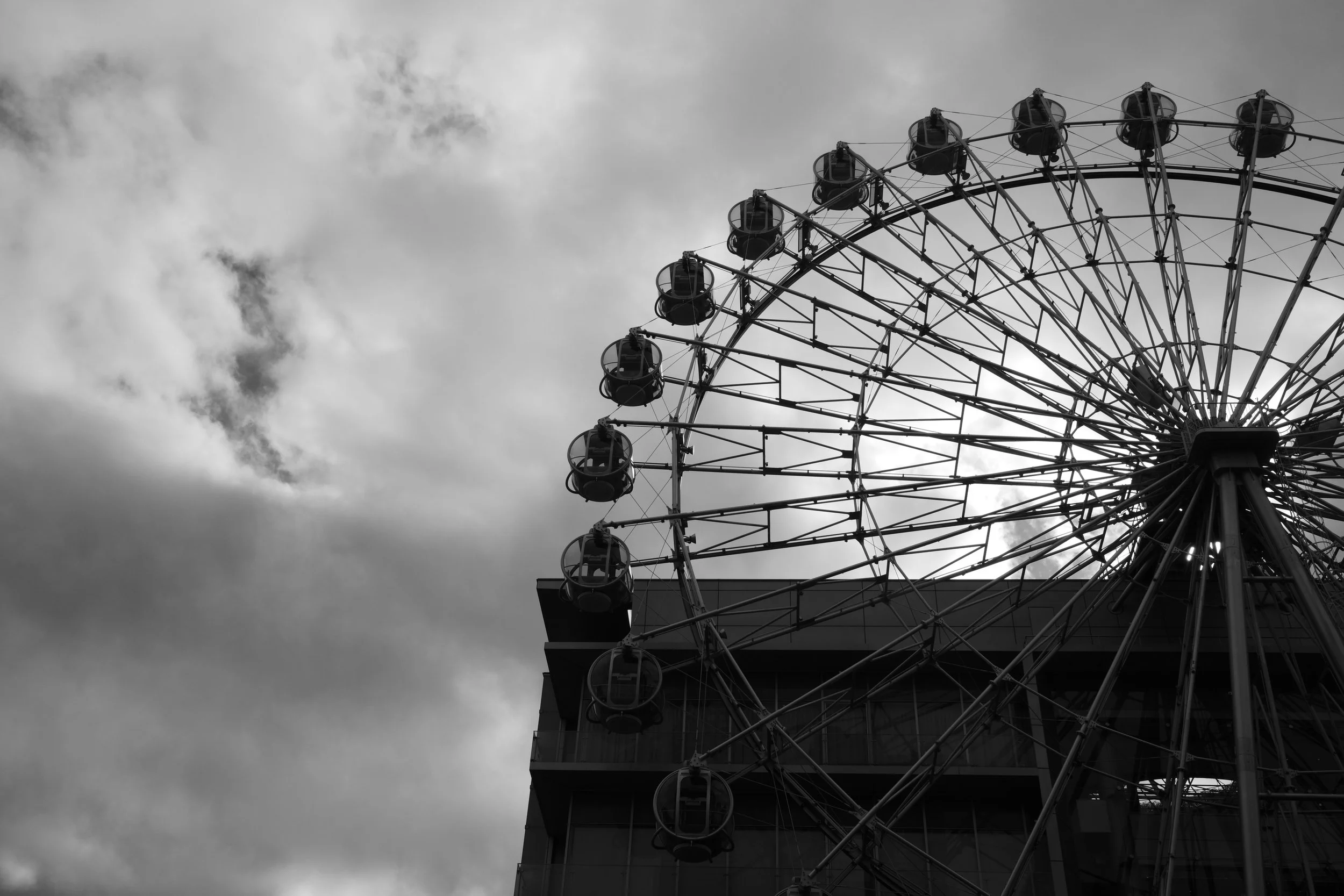 L1001092.jpg