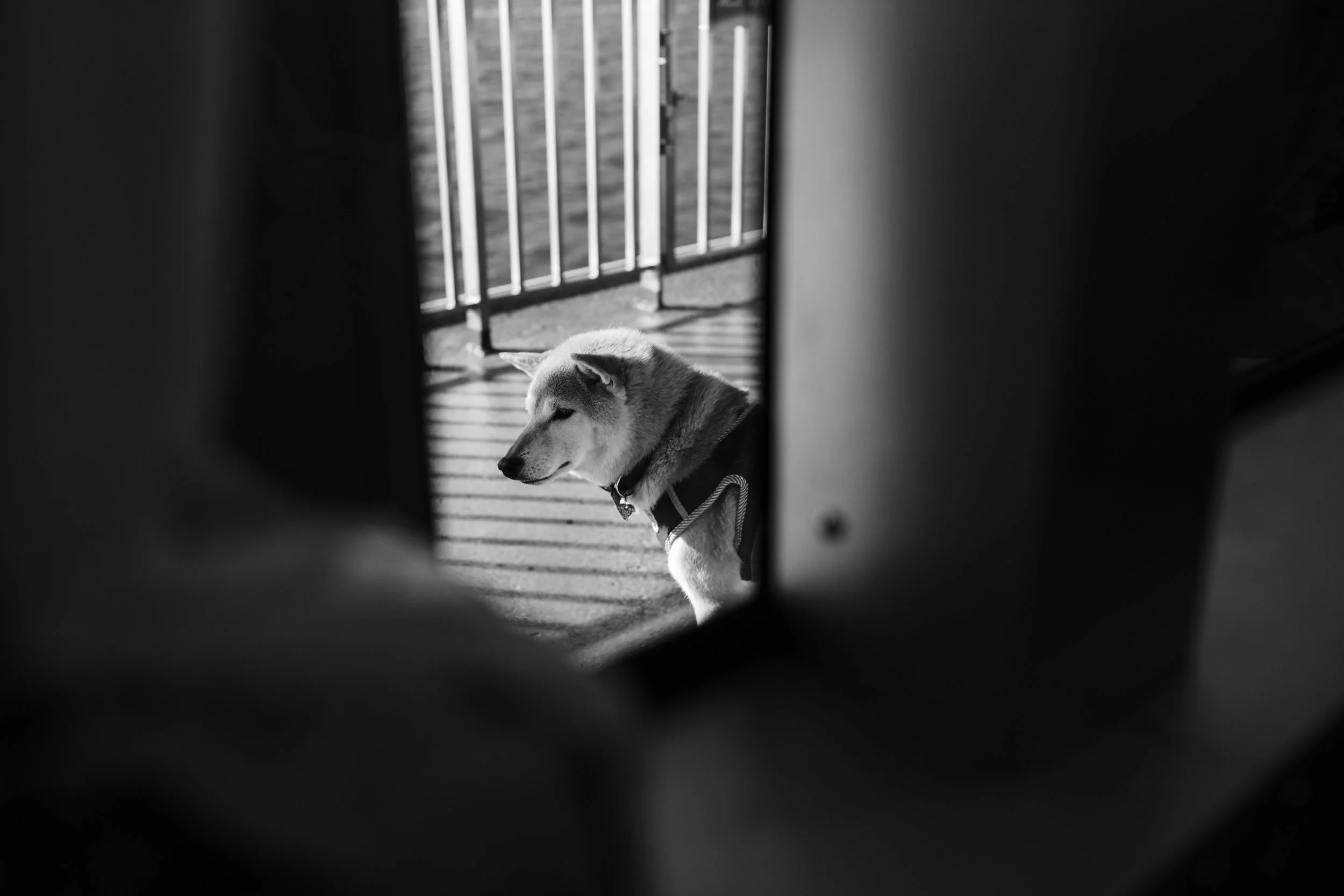 L1001131.jpg