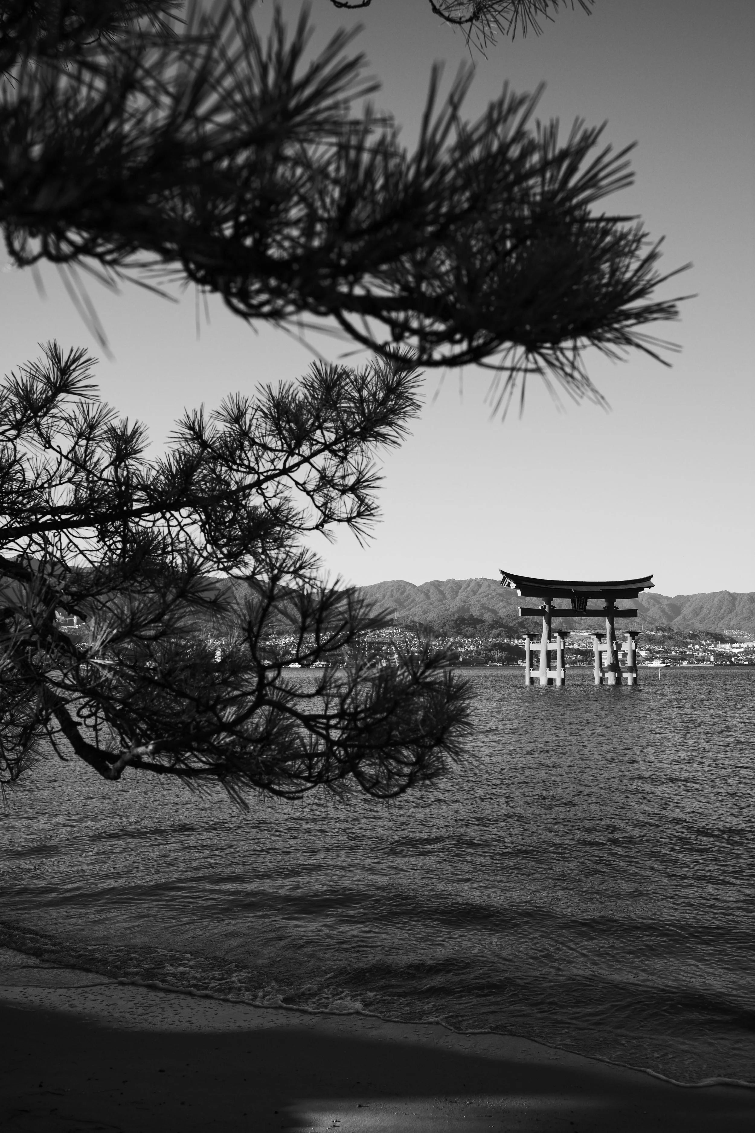 L1001164.jpg