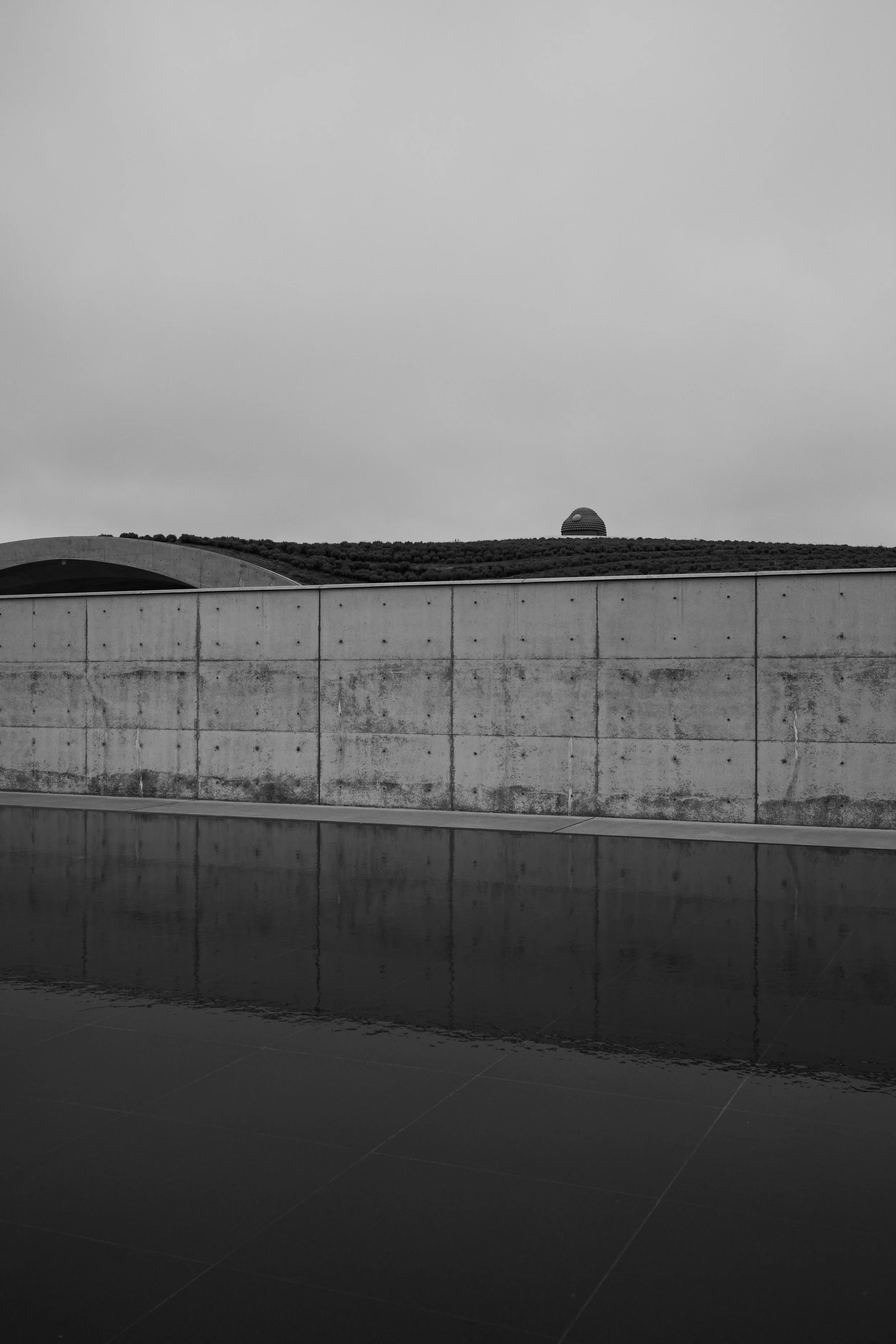 L1009964.jpg