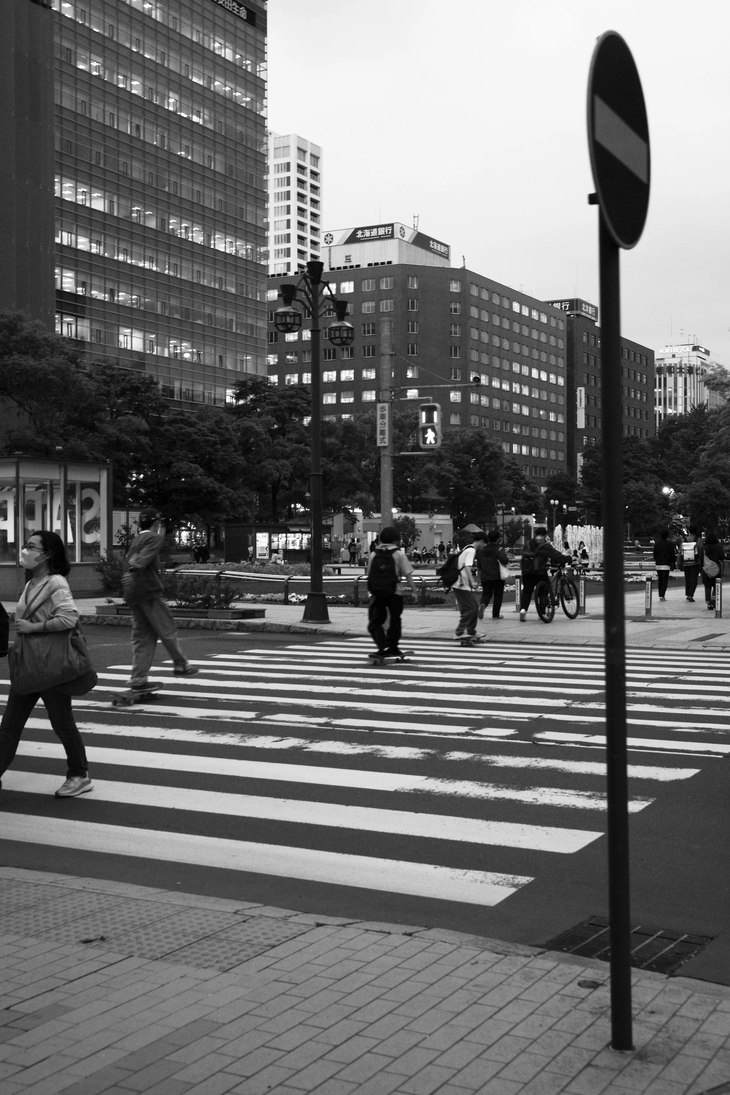 L1009993.jpg