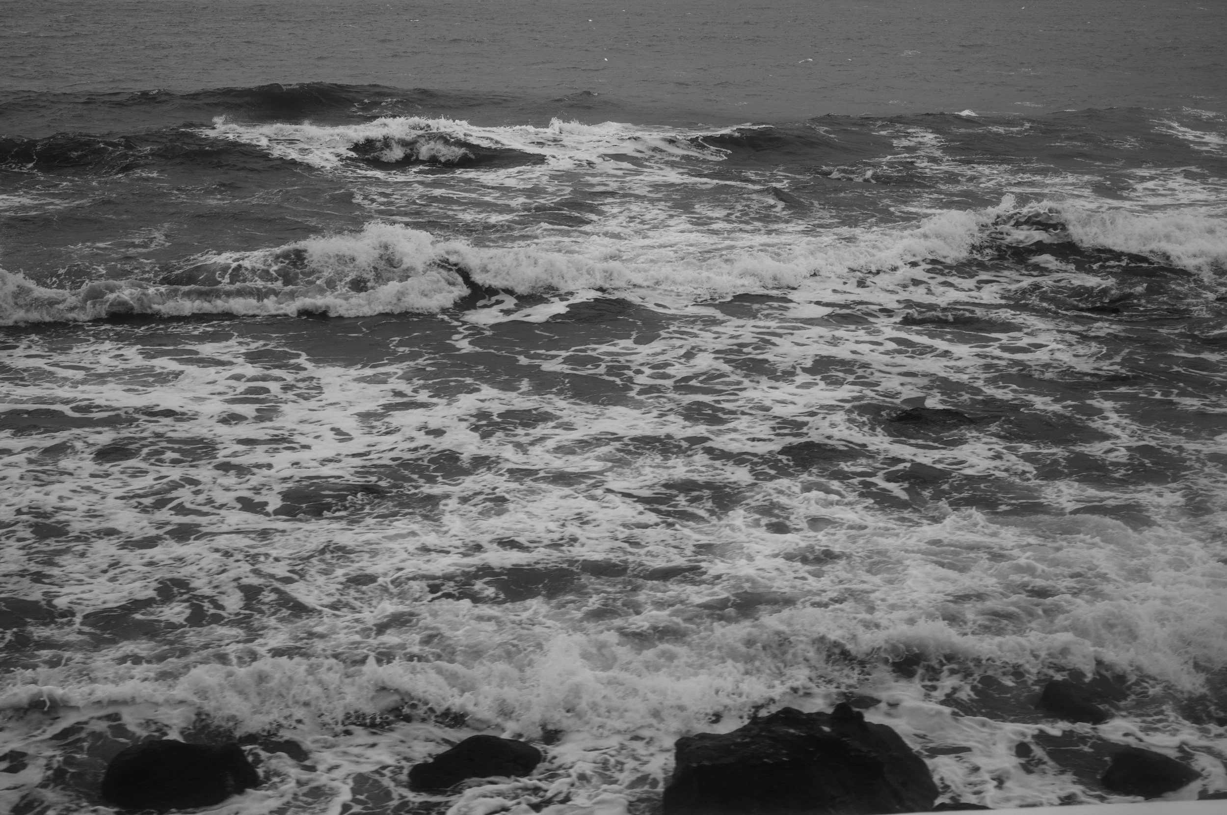 L1003383.jpg