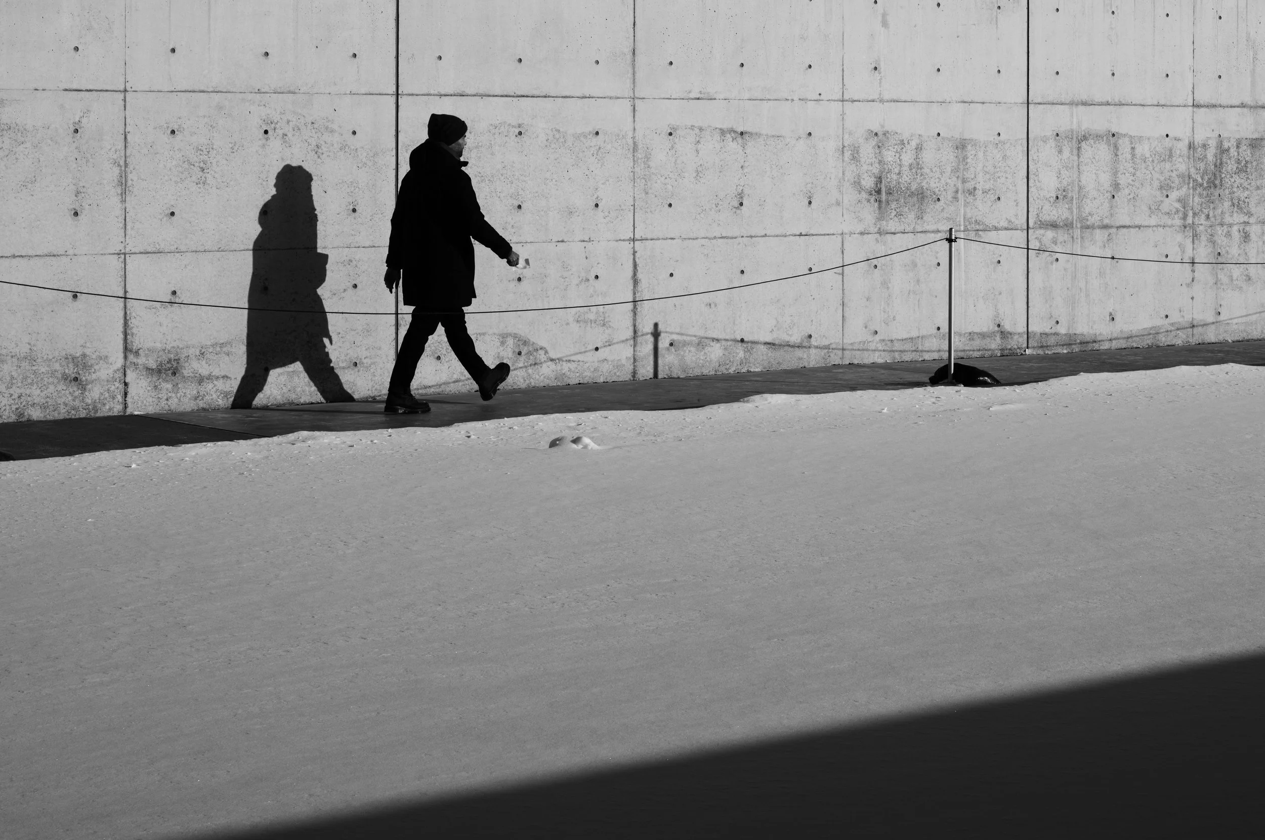 L1003436.jpg