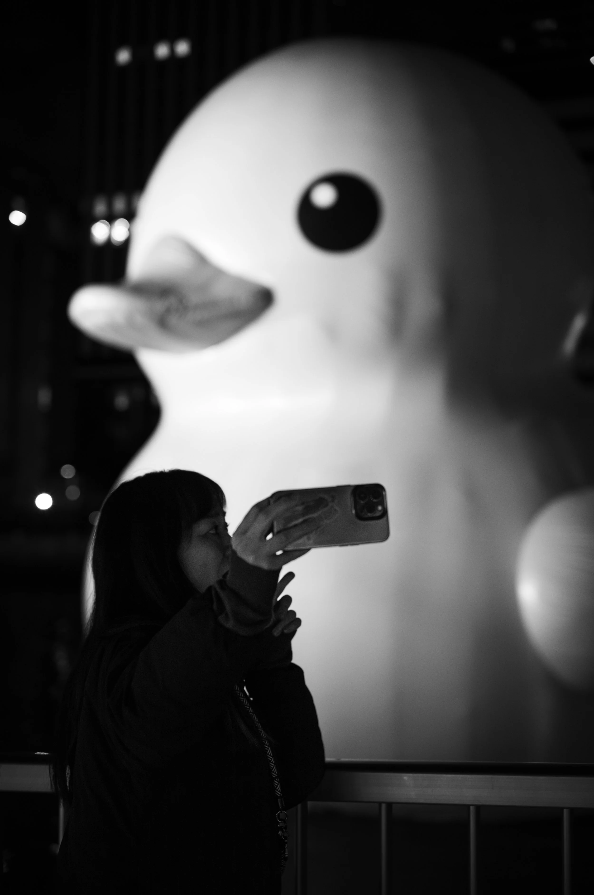 L1003603-2.jpg