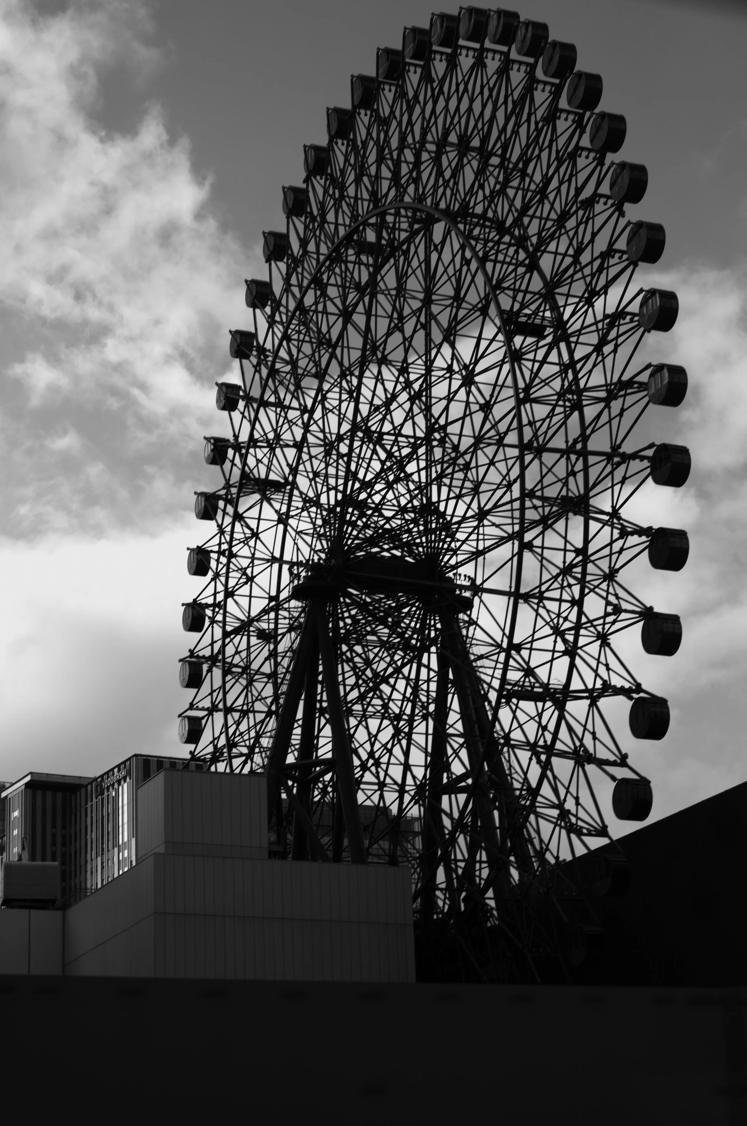 L1003716.jpg