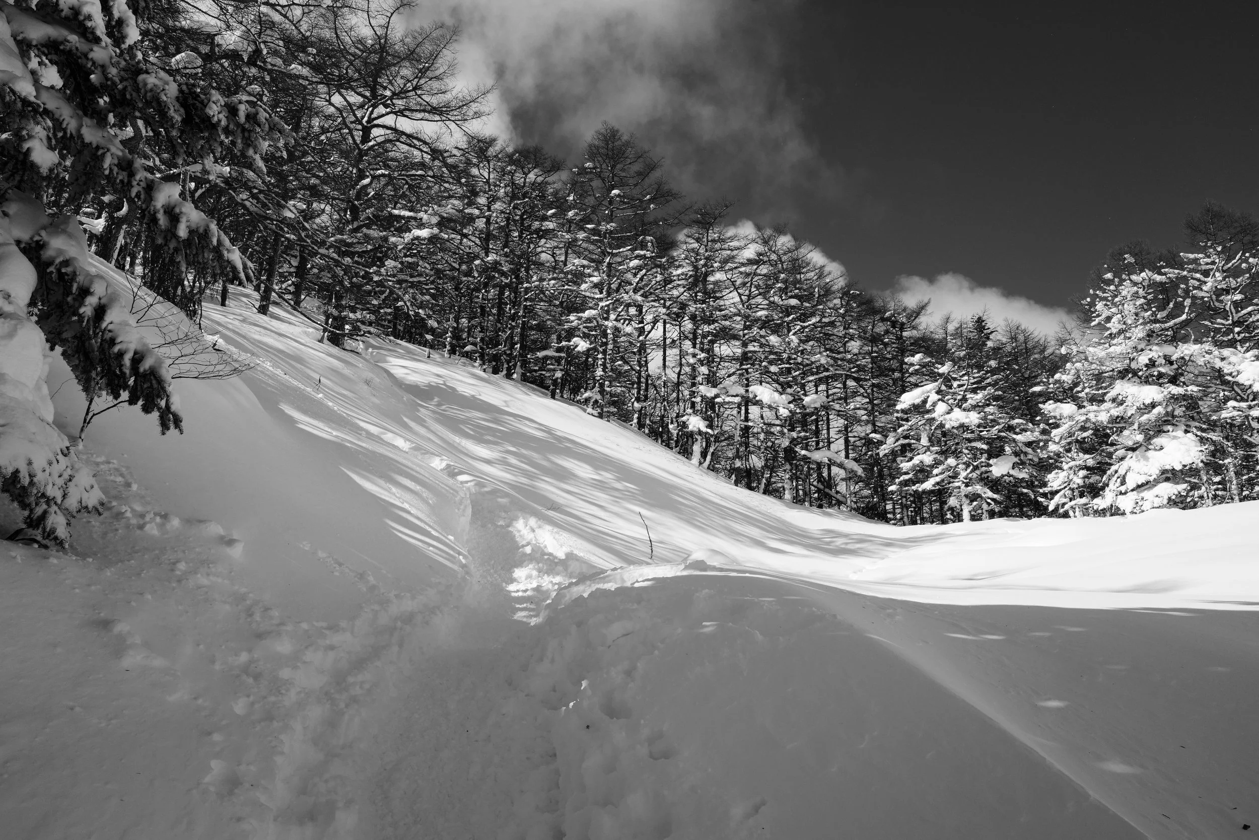L1002543-2.jpg