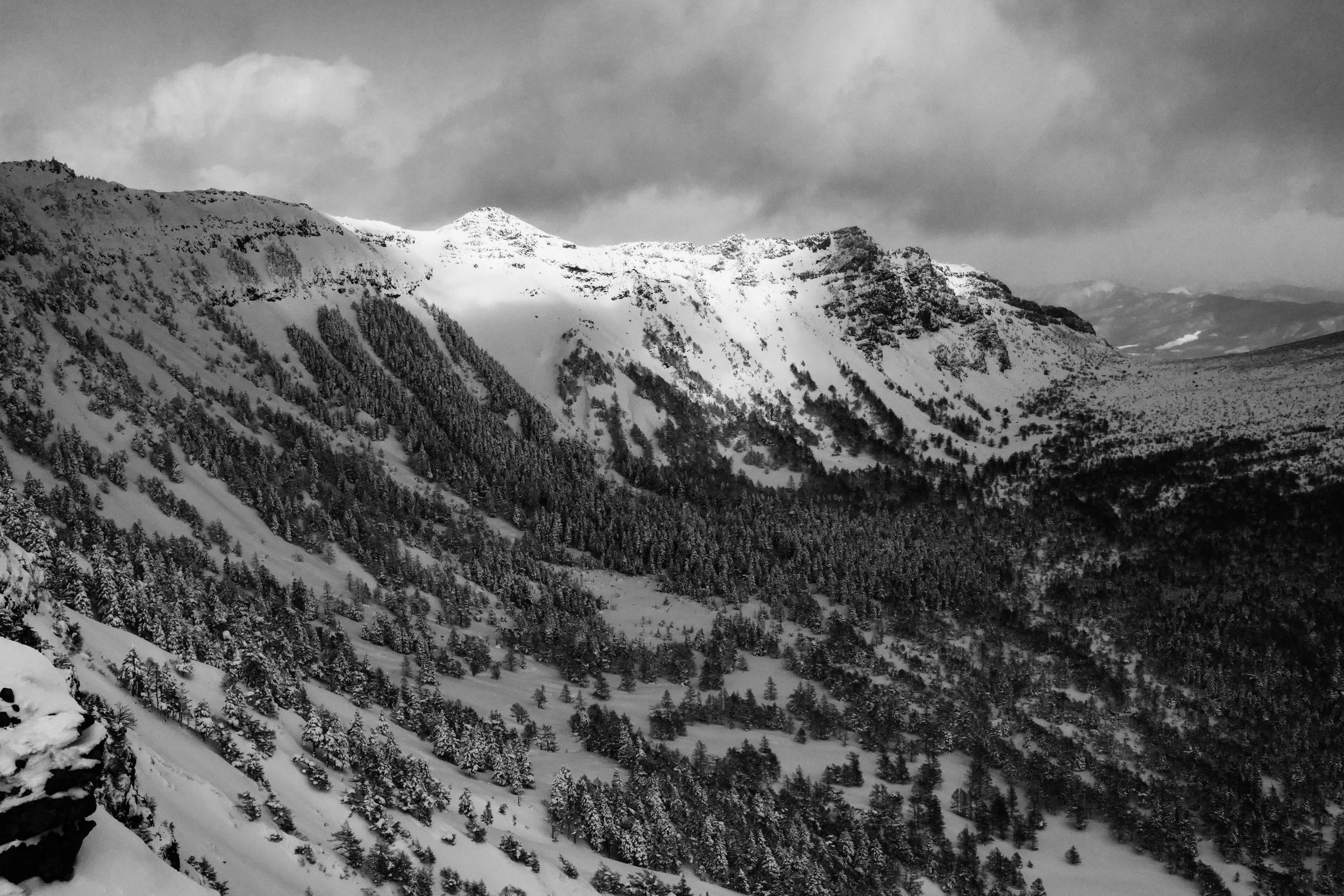 L1002563-2.jpg