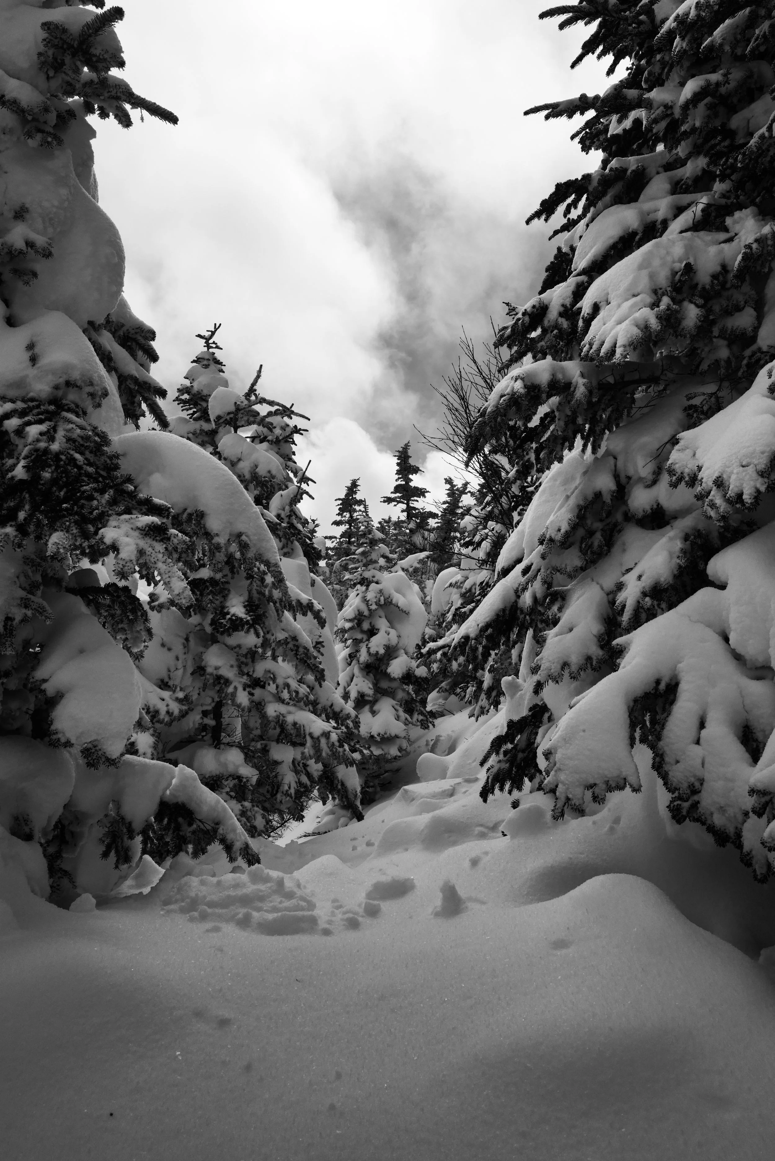 L1002583-2.jpg