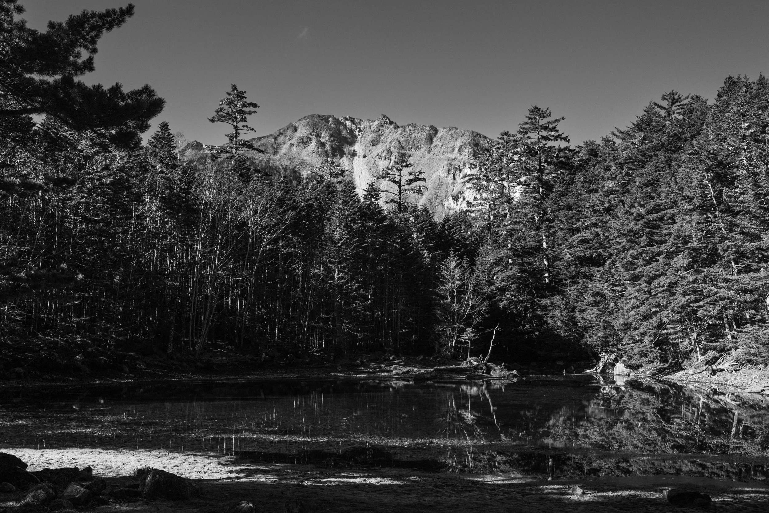 L1000878.jpg