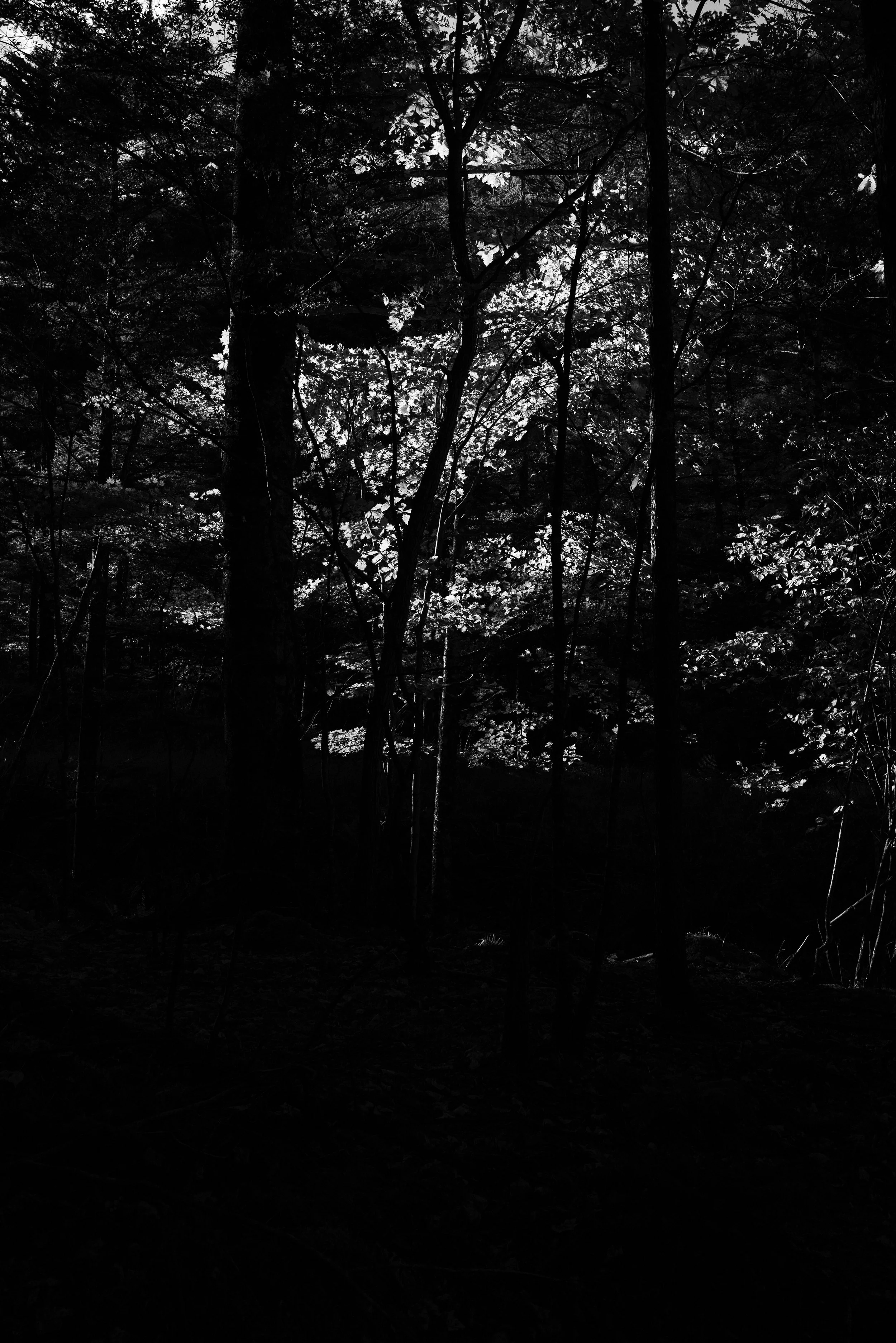 L1000897.jpg