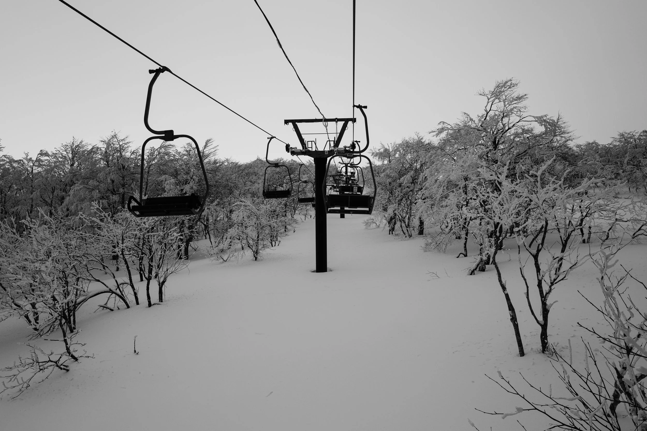 L1000013-2.jpg