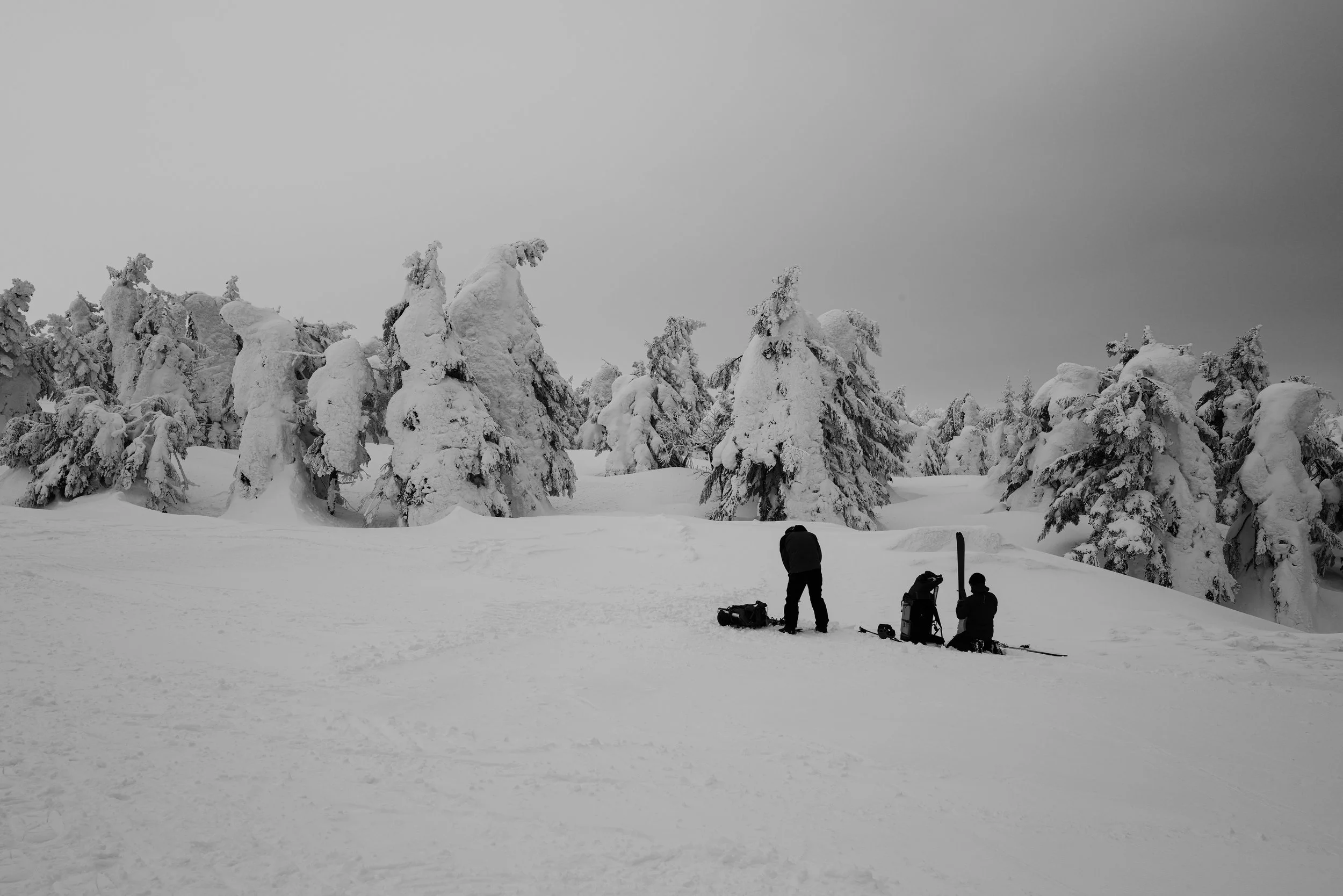 L1000019-10.jpg