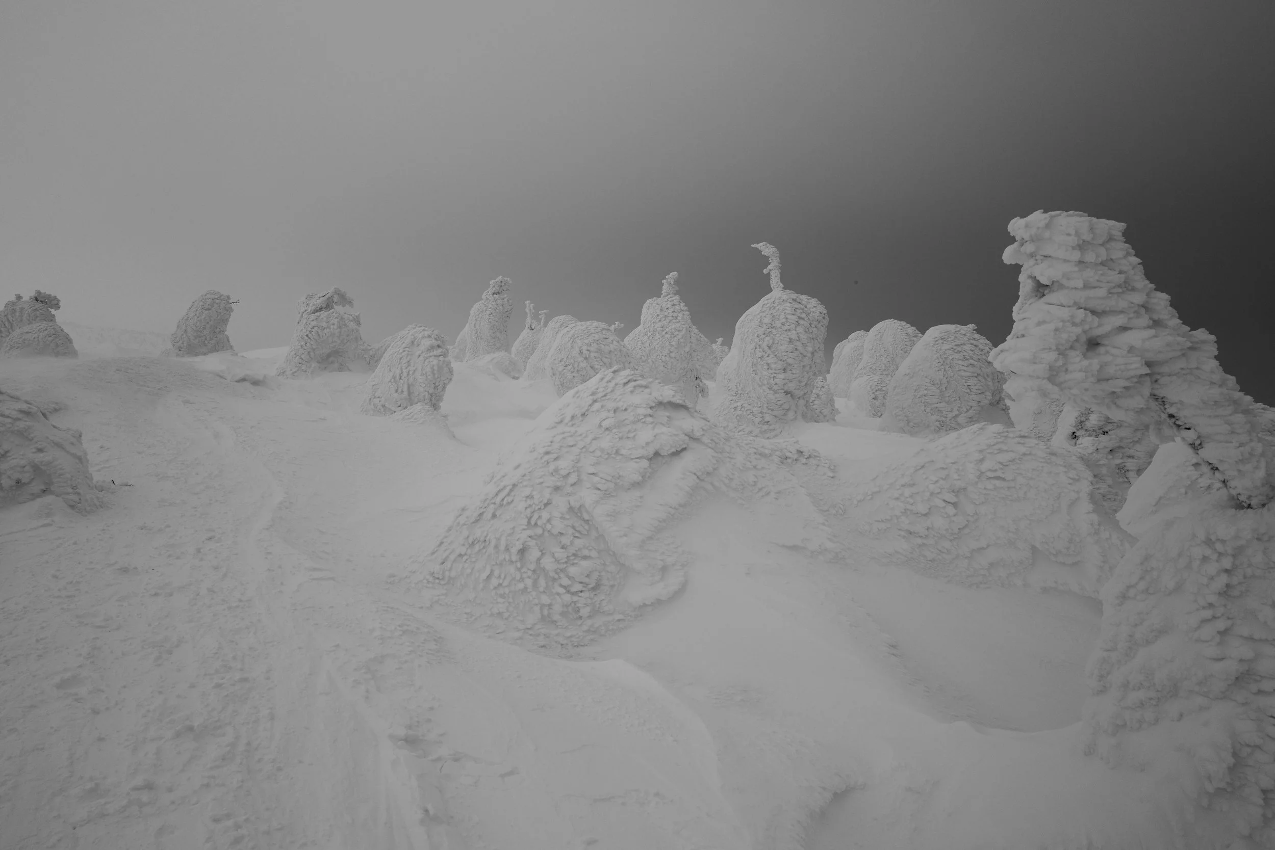 L1000026-2.jpg