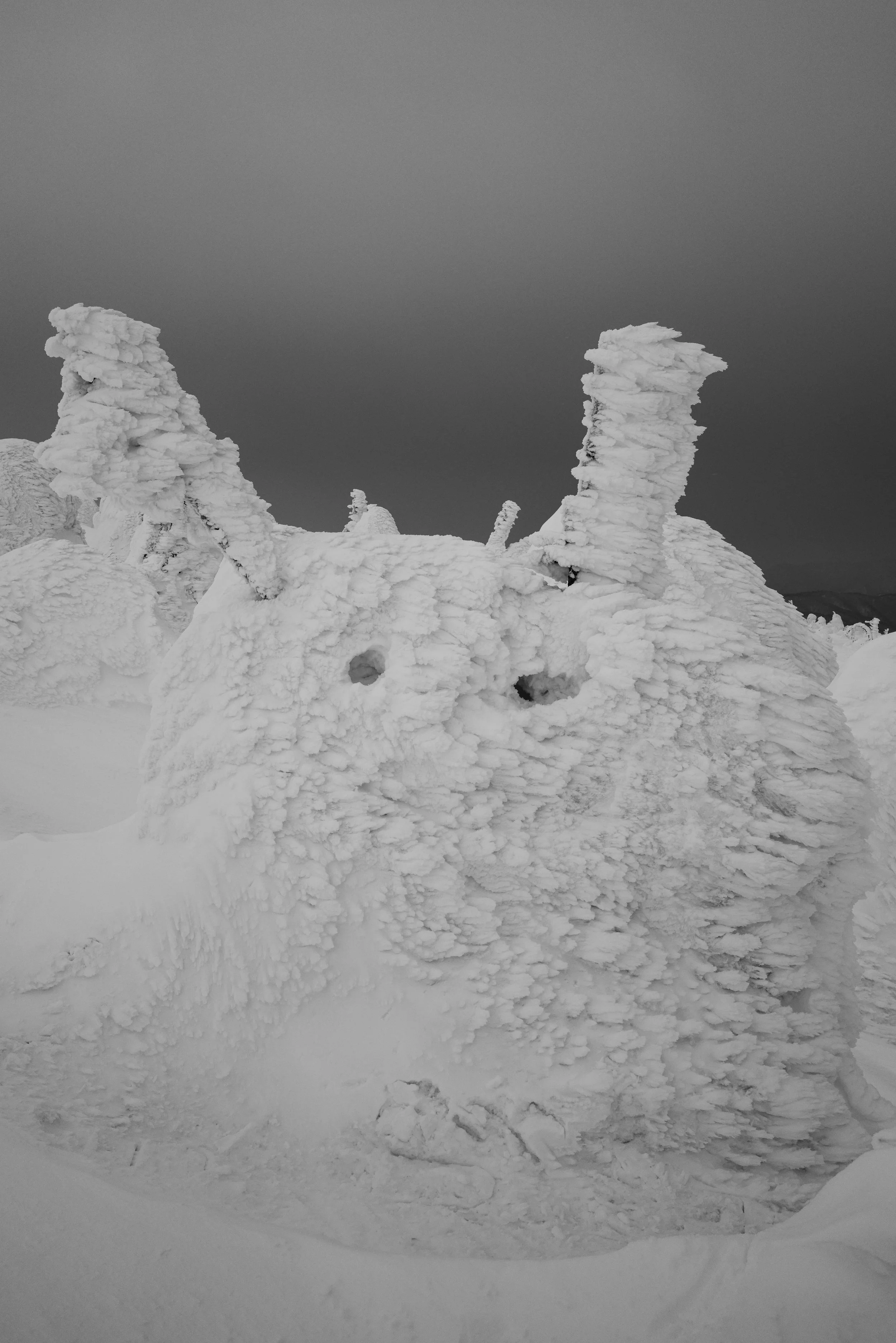L1000028-2.jpg
