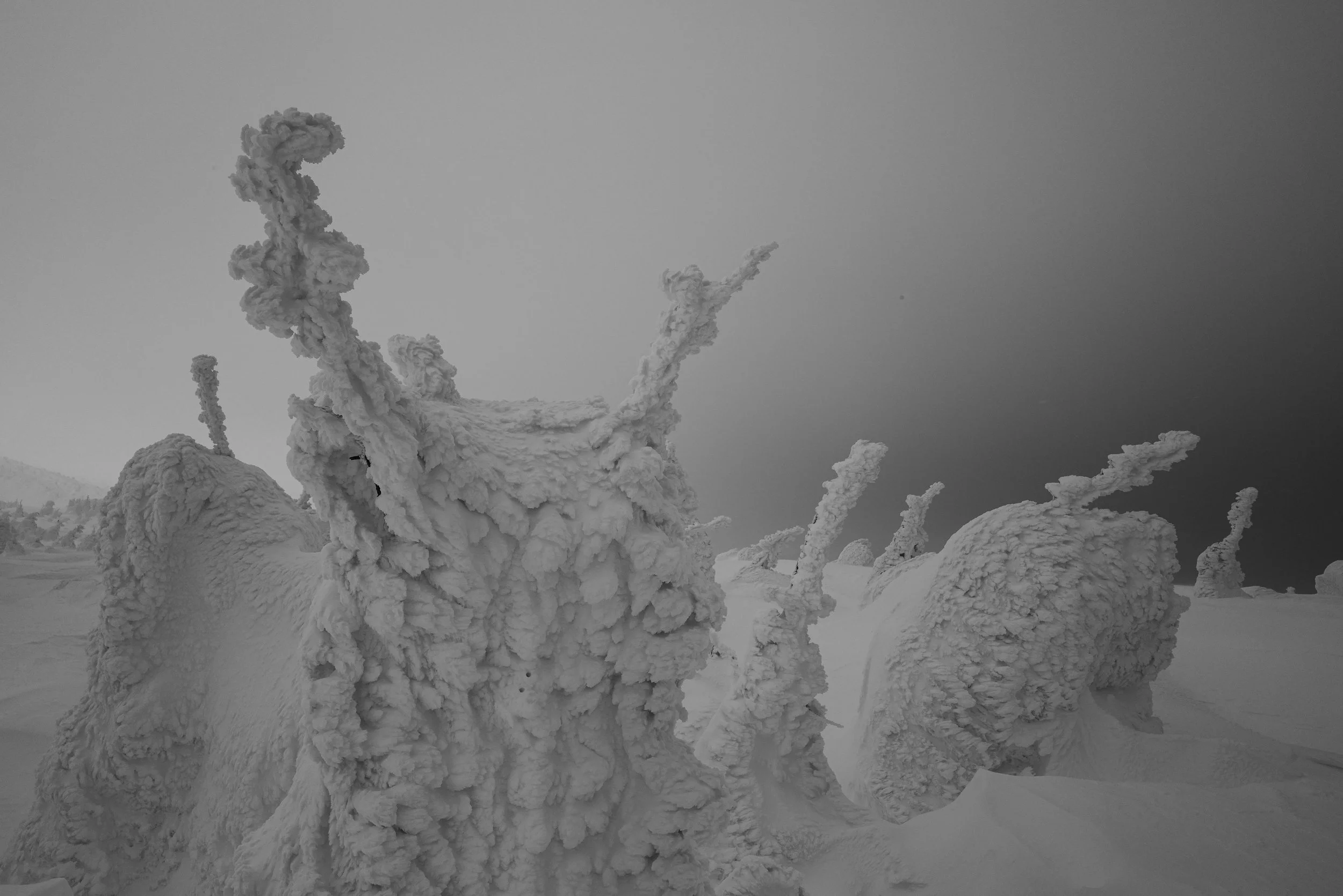 L1000033-2.jpg