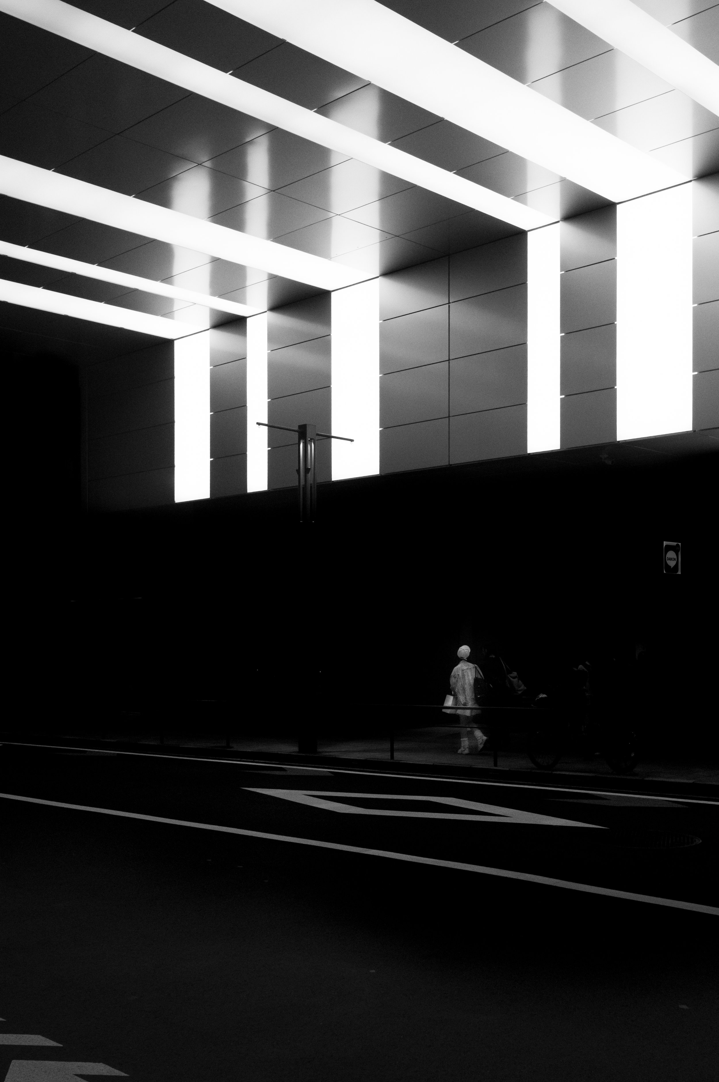 L1005428.jpg