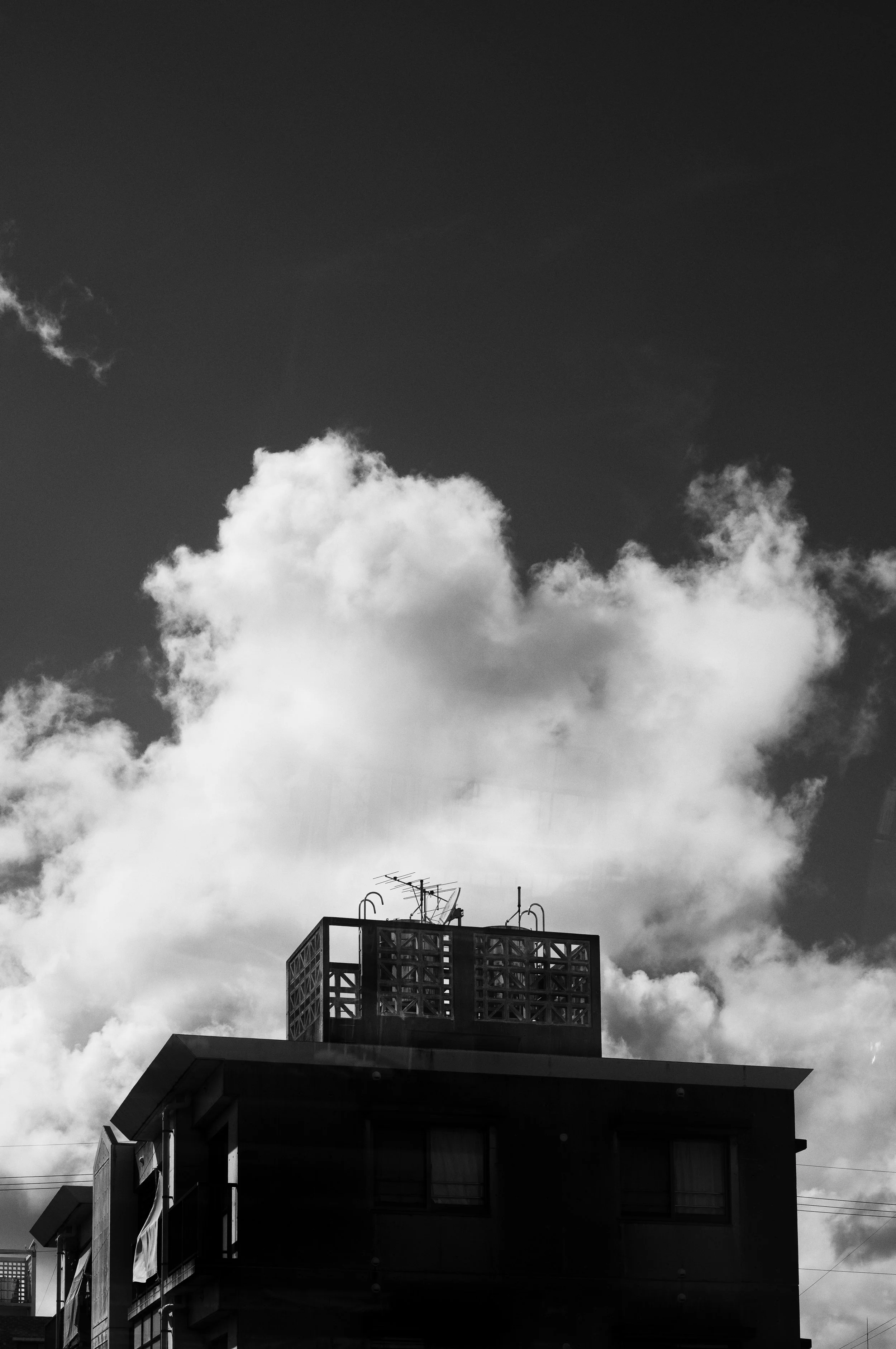 L1006445-Edit.jpg