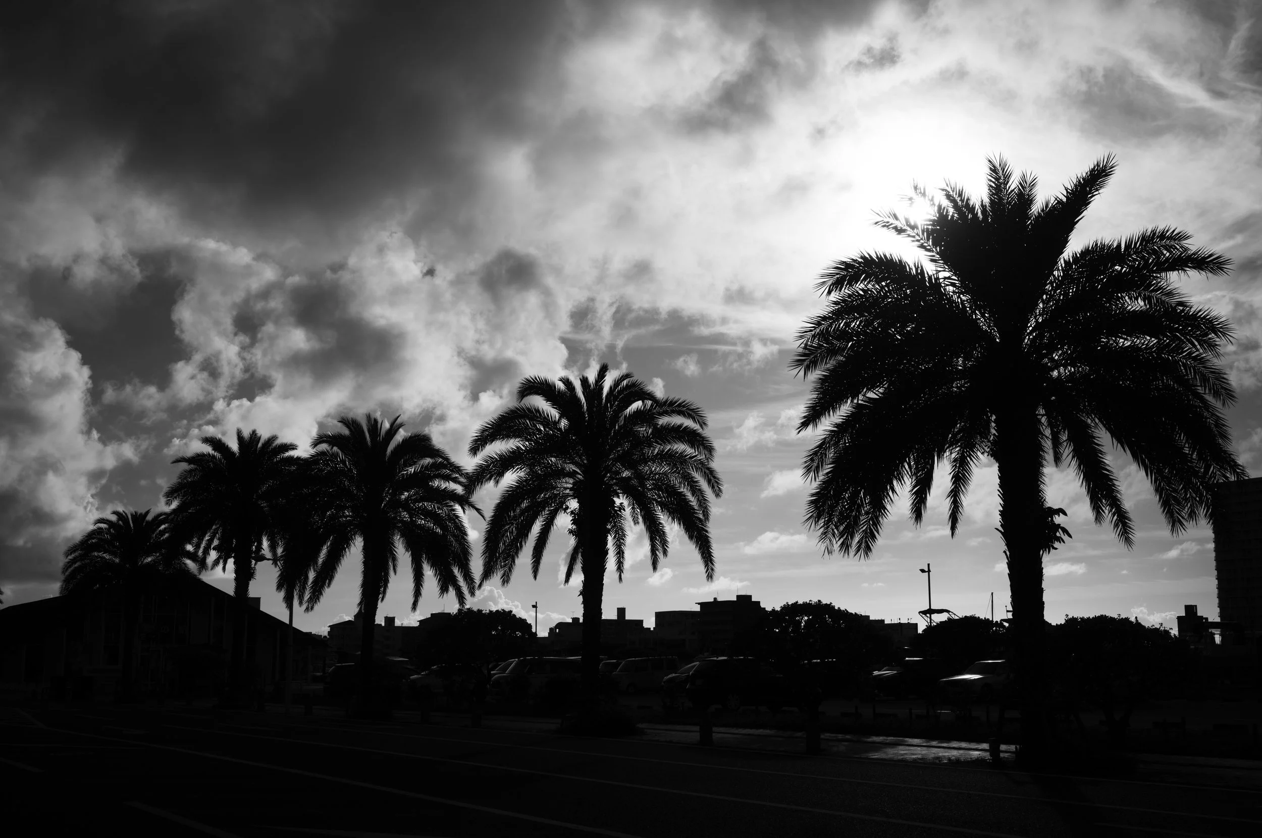 L1006471-2.jpg