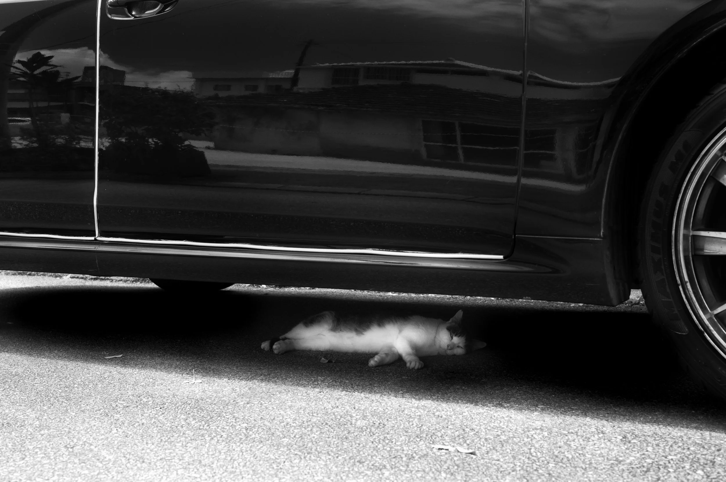 L1006518-Edit-2.jpg