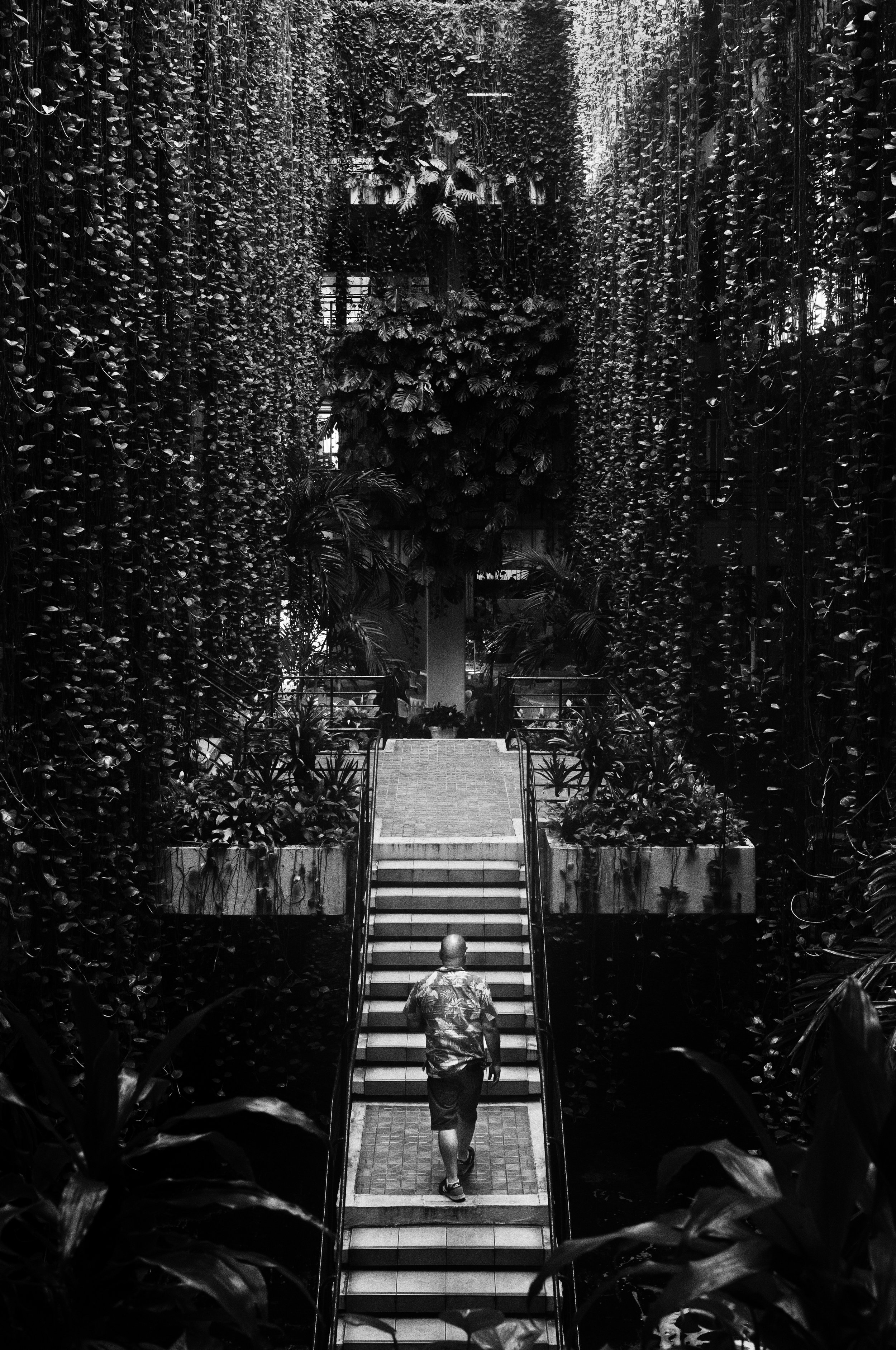 L1006662-Edit-2.jpg